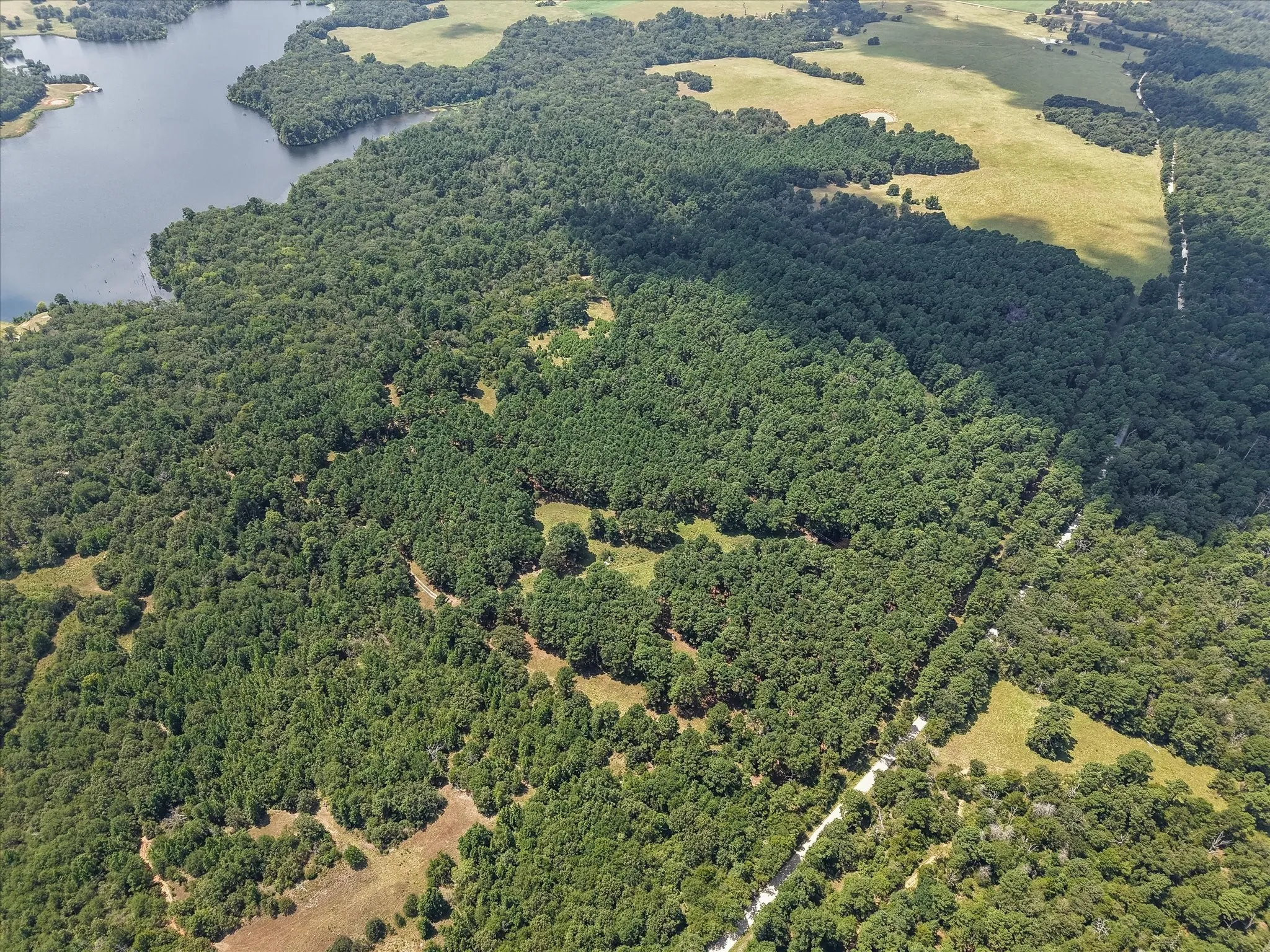 Unimproved Land For Sale in Freestone County , 541 FCR 240, Fairfield, Texas 75840, 0, 0, Garage spaces, 0 Sqft, built in 1960, mls#21034982, Real Estate Agent in Fairfield, Homes For Sale in Freestone county, Homes For Sale in Fairfield, Realtor in Fairfield Texas, Real Estate Brokerage Independent Realty Texas, Luminita Cordes Realtor