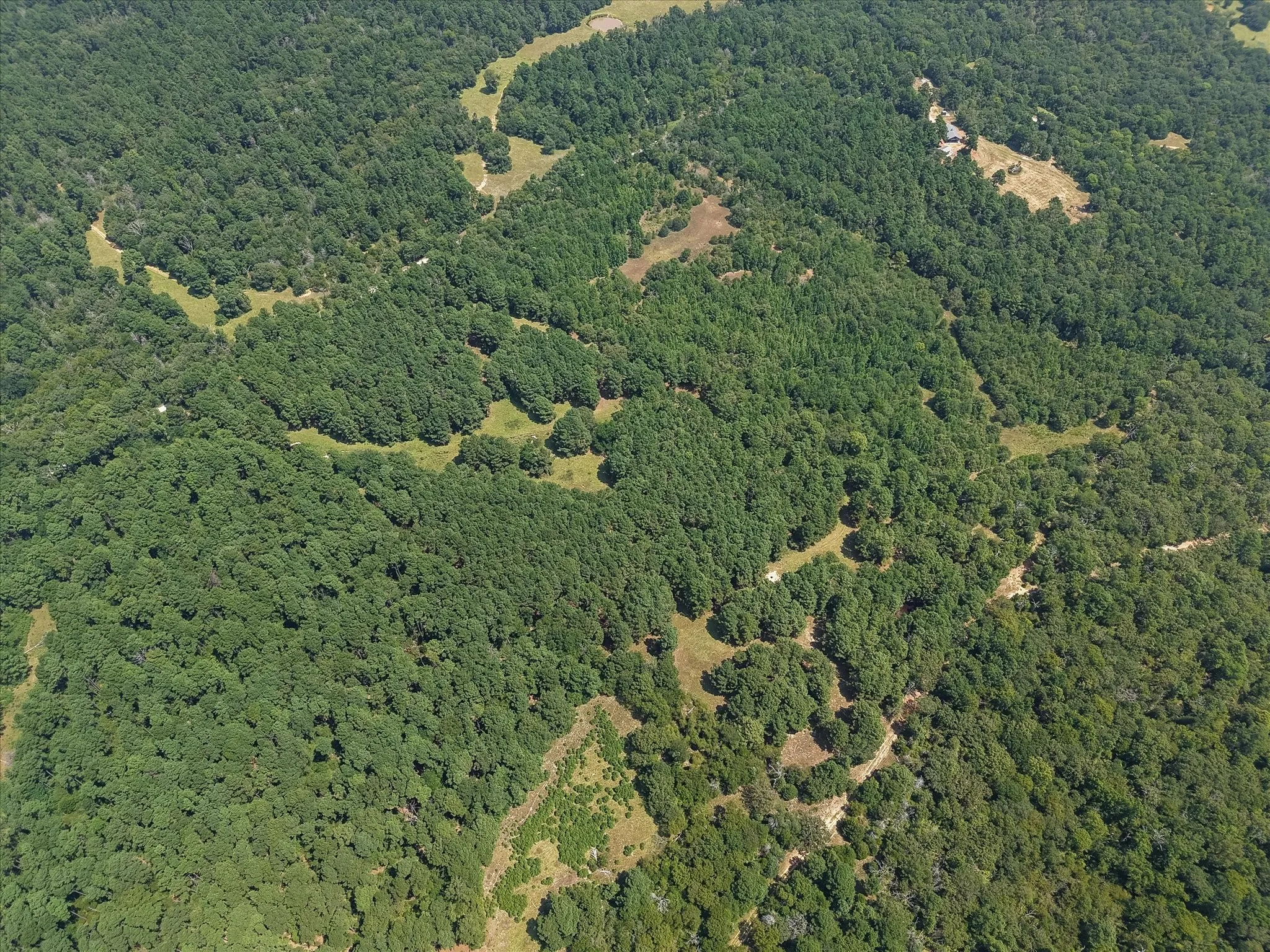 Unimproved Land For Sale in Freestone County , 541 FCR 240, Fairfield, Texas 75840, 0, 0, Garage spaces, 0 Sqft, built in 1960, mls#21034982, Real Estate Agent in Fairfield, Homes For Sale in Freestone county, Homes For Sale in Fairfield, Realtor in Fairfield Texas, Real Estate Brokerage Independent Realty Texas, Luminita Cordes Realtor