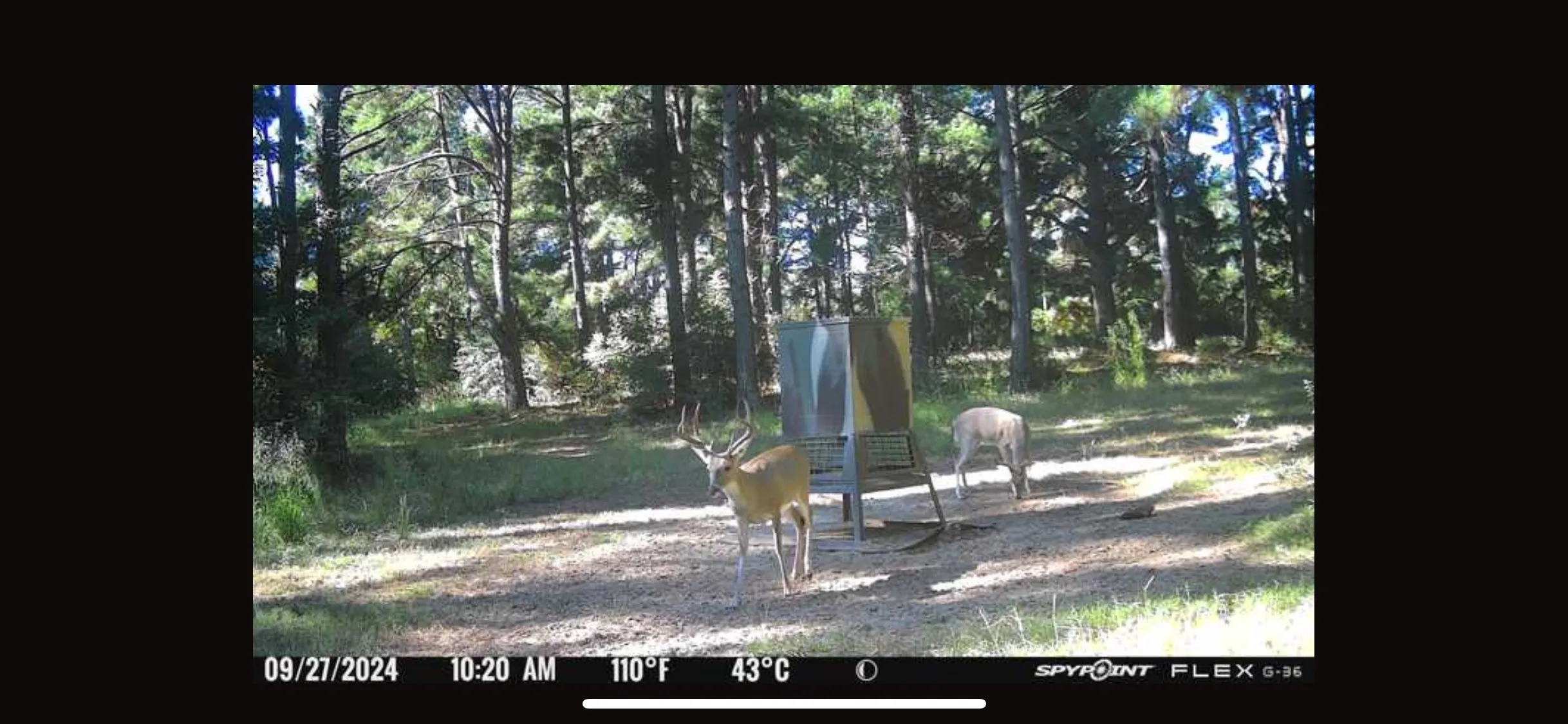 Unimproved Land For Sale in Freestone County , 541 FCR 240, Fairfield, Texas 75840, 0, 0, Garage spaces, 0 Sqft, built in 1960, mls#21034982, Real Estate Agent in Fairfield, Homes For Sale in Freestone county, Homes For Sale in Fairfield, Realtor in Fairfield Texas, Real Estate Brokerage Independent Realty Texas, Luminita Cordes Realtor