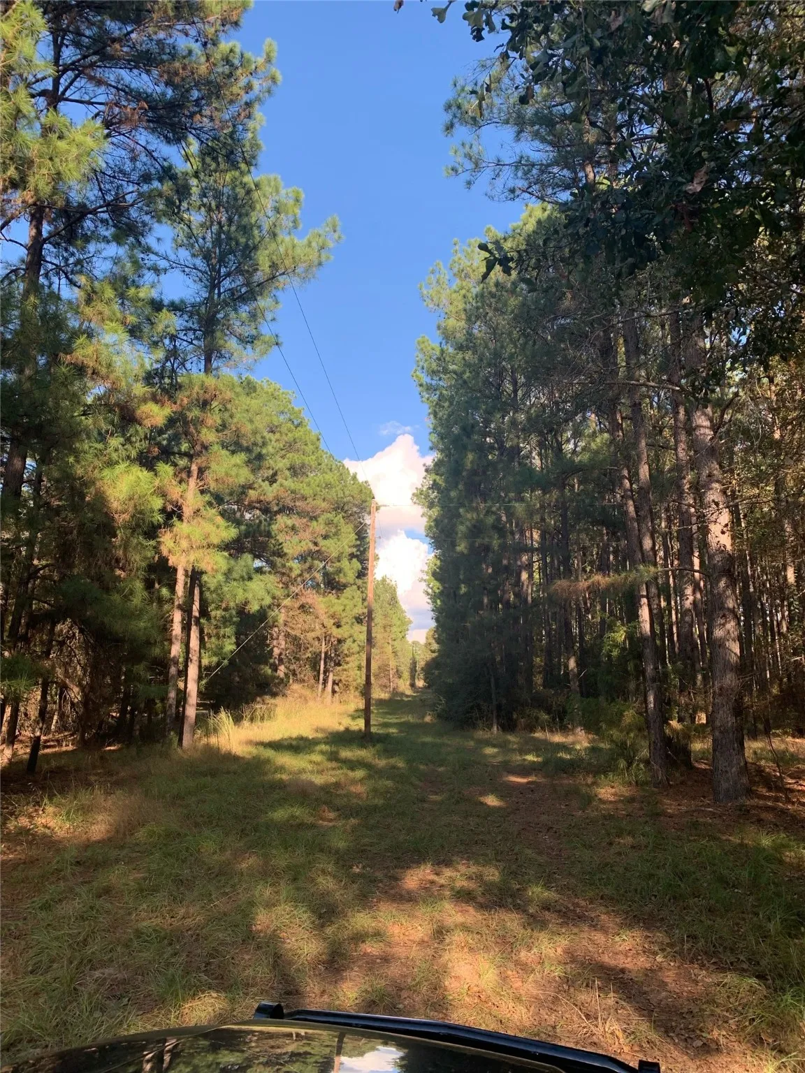 Unimproved Land For Sale in Freestone County , 541 FCR 240, Fairfield, Texas 75840, 0, 0, Garage spaces, 0 Sqft, built in 1960, mls#21034982, Real Estate Agent in Fairfield, Homes For Sale in Freestone county, Homes For Sale in Fairfield, Realtor in Fairfield Texas, Real Estate Brokerage Independent Realty Texas, Luminita Cordes Realtor