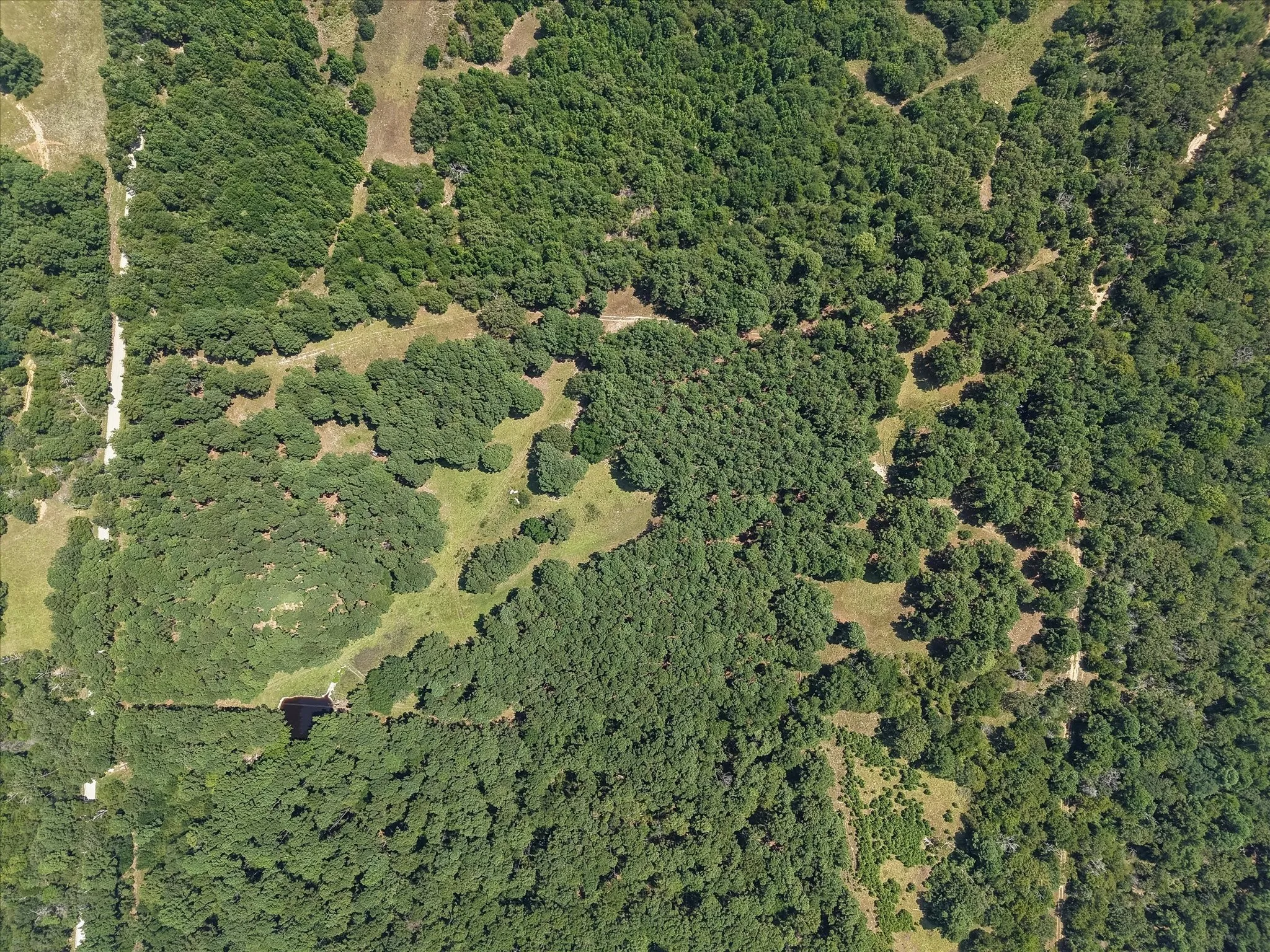 Unimproved Land For Sale in Freestone County , 541 FCR 240, Fairfield, Texas 75840, 0, 0, Garage spaces, 0 Sqft, built in 1960, mls#21034982, Real Estate Agent in Fairfield, Homes For Sale in Freestone county, Homes For Sale in Fairfield, Realtor in Fairfield Texas, Real Estate Brokerage Independent Realty Texas, Luminita Cordes Realtor