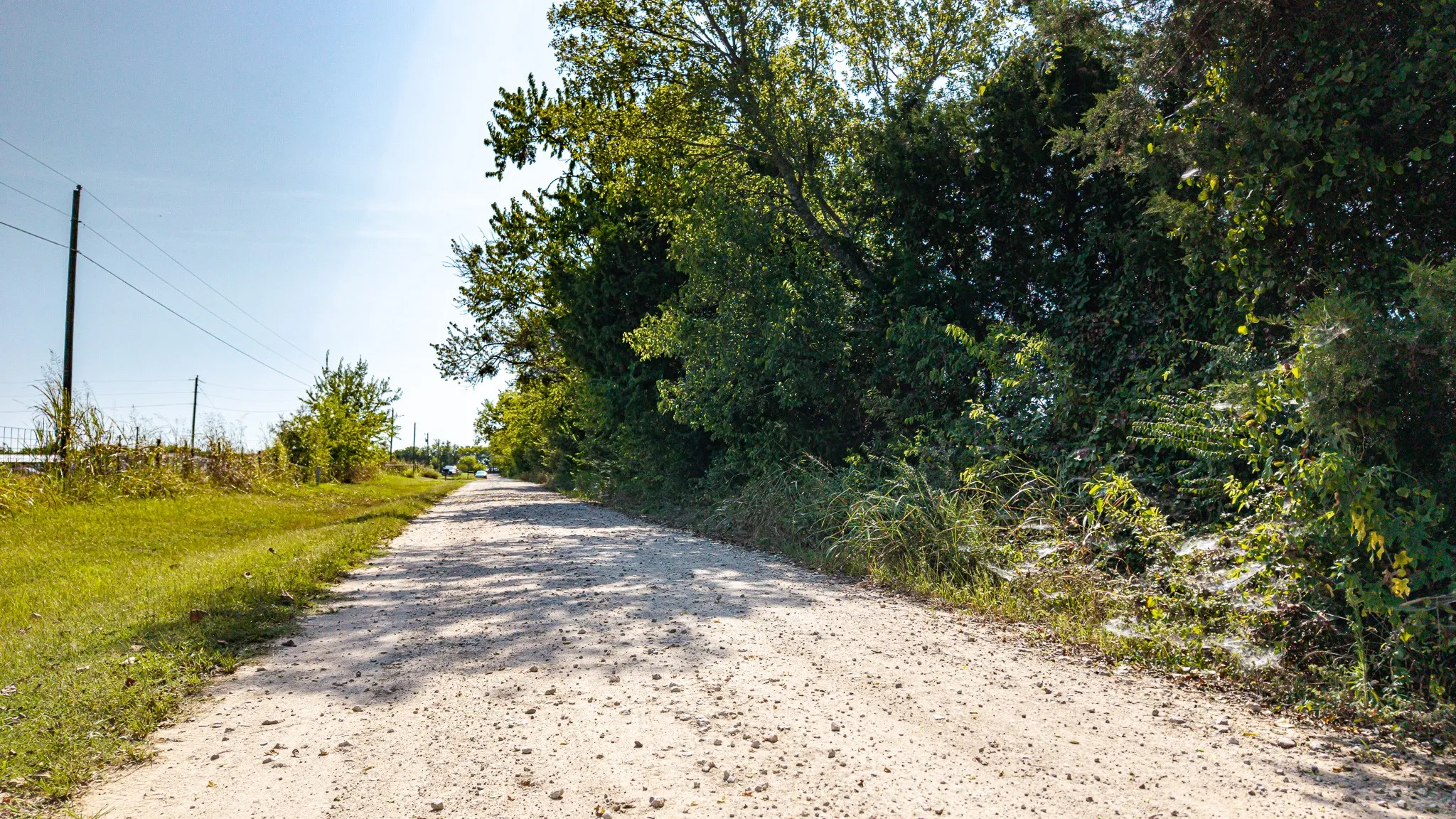 Unimproved Land For Sale in Van Zandt County , 0 VZ CR 3831, Wills Point, Texas 75169, 0, 0, Garage spaces, 0 Sqft, built in 0, Price $190,000, mls#21034768, Real Estate Agent in Wills Point, Homes For Sale in Van Zandt county, Homes For Sale in Wills Point, Realtor in Wills Point Texas, Real Estate Brokerage Independent Realty Texas, Luminita Cordes Realtor