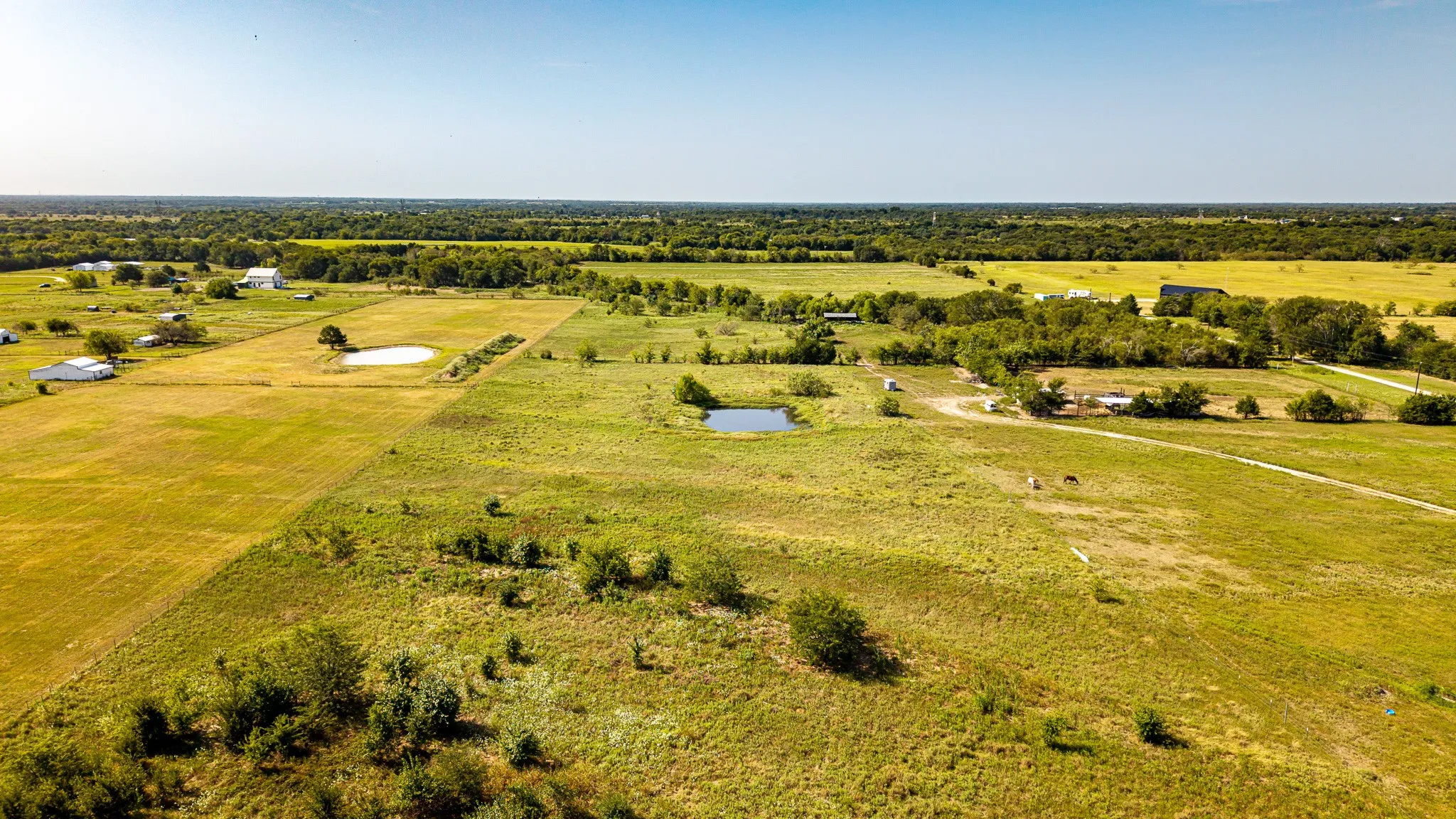 Unimproved Land For Sale in Van Zandt County , 0 VZ CR 3831, Wills Point, Texas 75169, 0, 0, Garage spaces, 0 Sqft, built in 0, Price $190,000, mls#21034768, Real Estate Agent in Wills Point, Homes For Sale in Van Zandt county, Homes For Sale in Wills Point, Realtor in Wills Point Texas, Real Estate Brokerage Independent Realty Texas, Luminita Cordes Realtor
