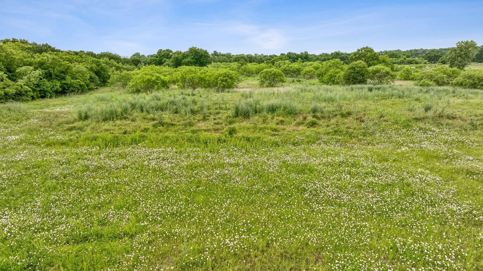 Unimproved Land For Sale in Erath County , 3050 W Washington, Stephenville, Texas 76401, 0, 0, Garage spaces, 0 Sqft, built in 0, mls#21035008, Real Estate Agent in Stephenville, Homes For Sale in Erath county, Homes For Sale in Stephenville, Realtor in Stephenville Texas, Real Estate Brokerage Independent Realty Texas, Luminita Cordes Realtor