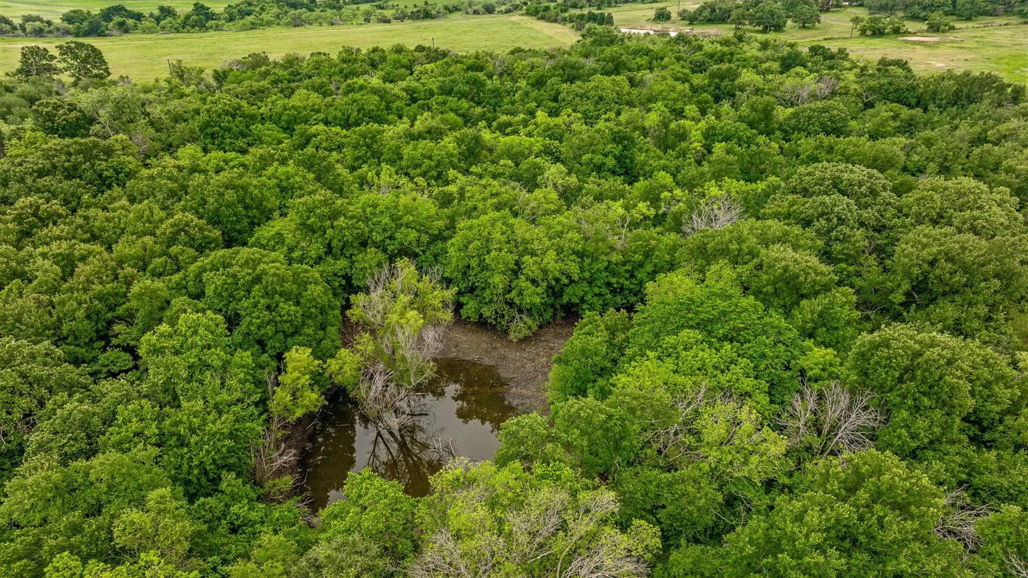 Unimproved Land For Sale in Erath County , 3050 W Washington, Stephenville, Texas 76401, 0, 0, Garage spaces, 0 Sqft, built in 0, mls#21035008, Real Estate Agent in Stephenville, Homes For Sale in Erath county, Homes For Sale in Stephenville, Realtor in Stephenville Texas, Real Estate Brokerage Independent Realty Texas, Luminita Cordes Realtor