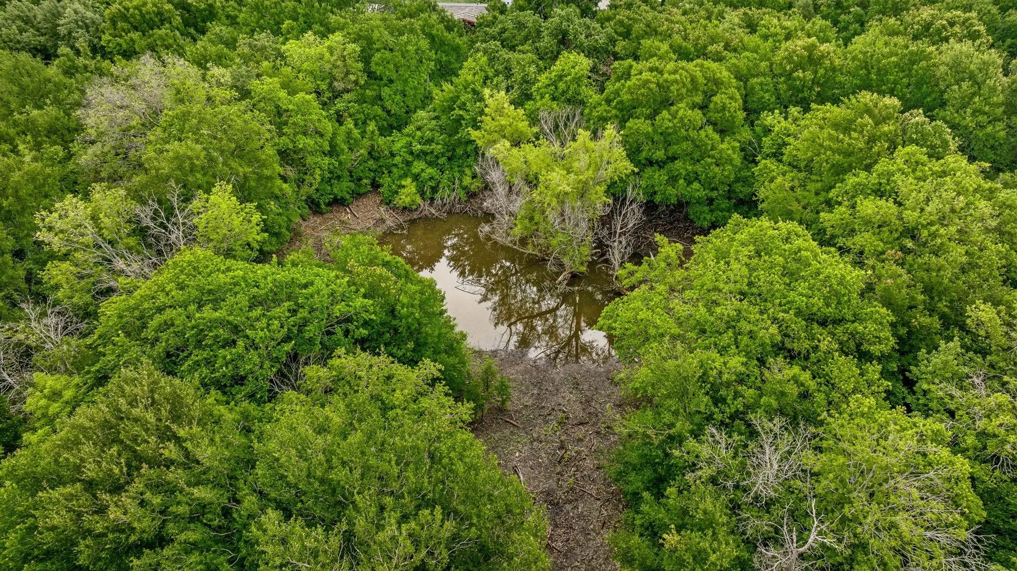Unimproved Land For Sale in Erath County , 3050 W Washington, Stephenville, Texas 76401, 0, 0, Garage spaces, 0 Sqft, built in 0, mls#21035008, Real Estate Agent in Stephenville, Homes For Sale in Erath county, Homes For Sale in Stephenville, Realtor in Stephenville Texas, Real Estate Brokerage Independent Realty Texas, Luminita Cordes Realtor