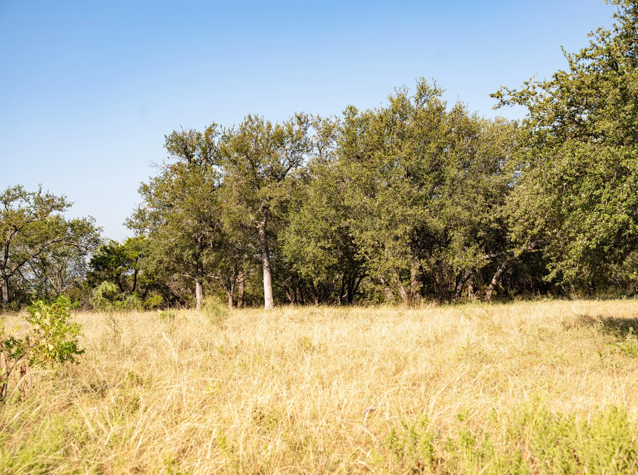 Unimproved Land For Sale in Palo Pinto County , Lot 212 Mountain Top Trail, Mineral Wells, Texas 76067, 0, 0, Garage spaces, 0 Sqft, built in 0, mls#21035315, Real Estate Agent in Mineral Wells, Homes For Sale in Palo Pinto county, Homes For Sale in Mineral Wells, Realtor in Mineral Wells Texas, Real Estate Brokerage Independent Realty Texas, Luminita Cordes Realtor