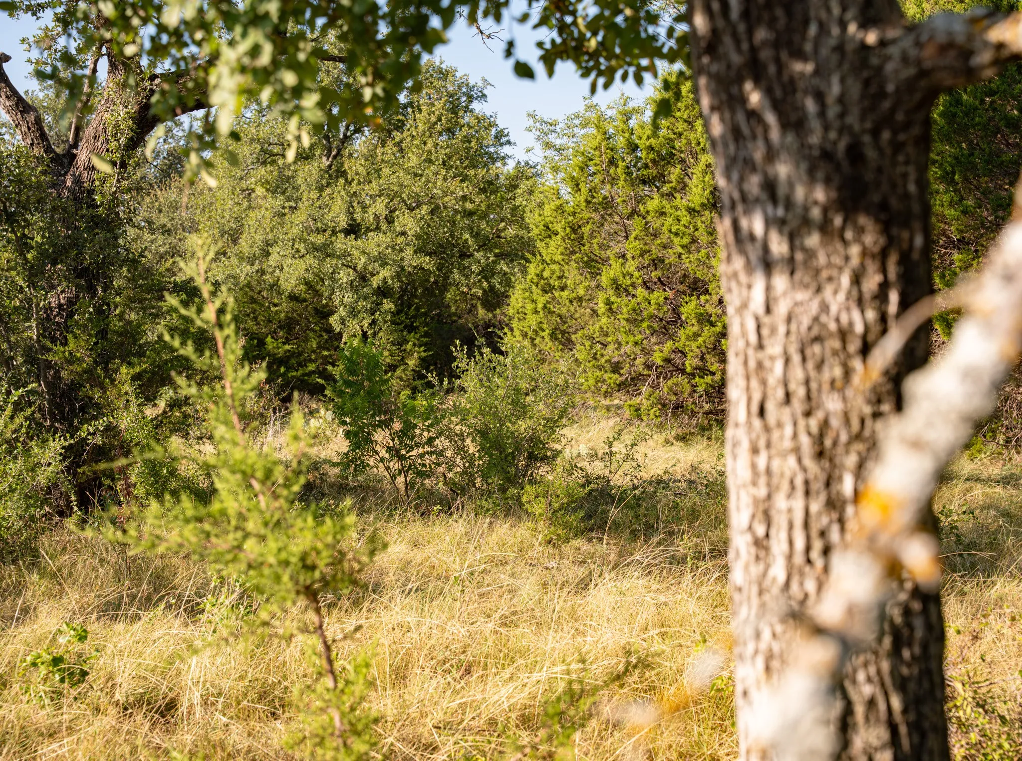 Unimproved Land For Sale in Palo Pinto County , Lot 212 Mountain Top Trail, Mineral Wells, Texas 76067, 0, 0, Garage spaces, 0 Sqft, built in 0, mls#21035315, Real Estate Agent in Mineral Wells, Homes For Sale in Palo Pinto county, Homes For Sale in Mineral Wells, Realtor in Mineral Wells Texas, Real Estate Brokerage Independent Realty Texas, Luminita Cordes Realtor
