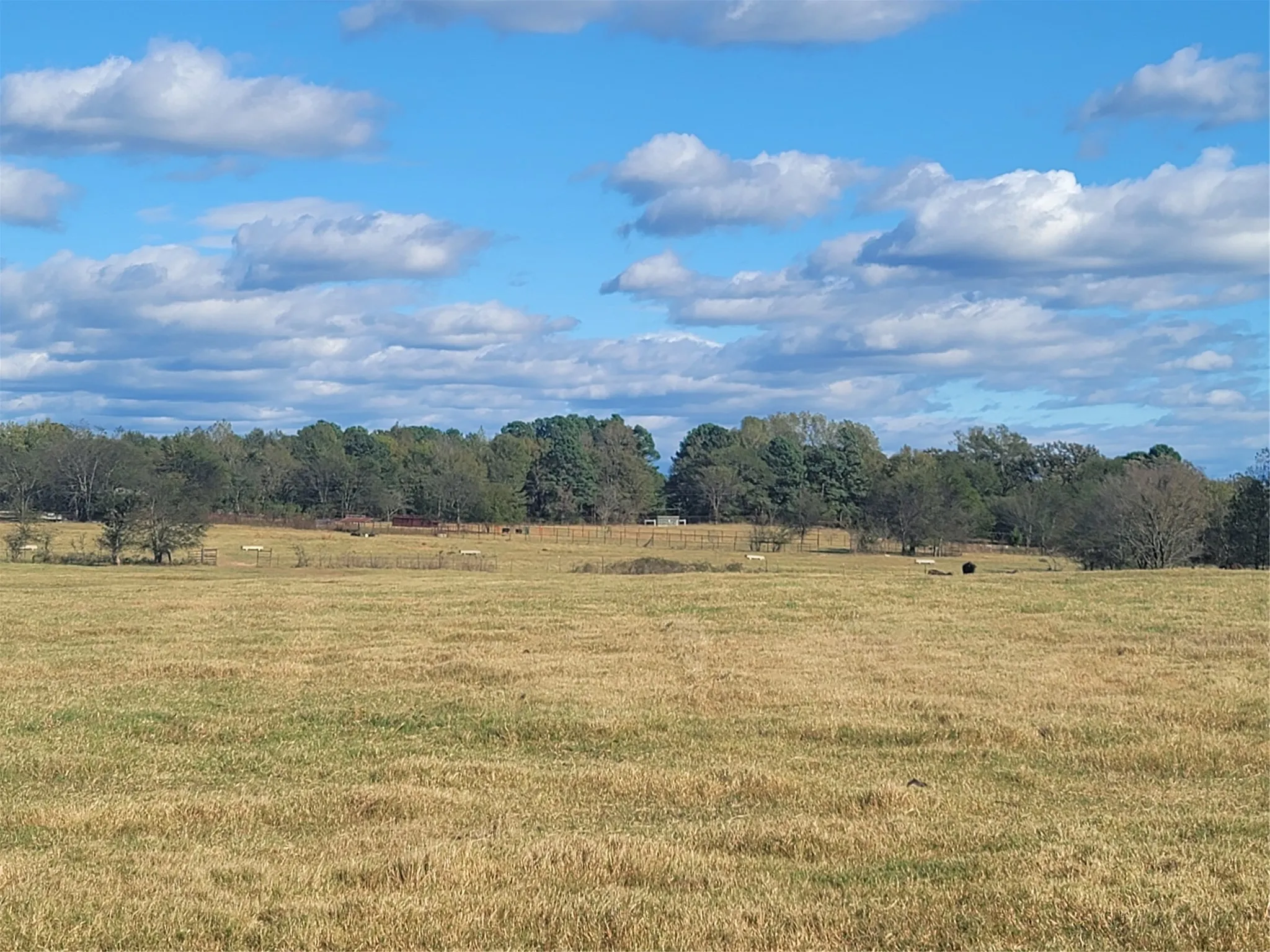 Ranch For Sale in Upshur County , 12403 FM 1975 Parcel C, Gilmer, Texas 75644, 0, 0, Garage spaces, 0 Sqft, built in 0, mls#21034677, Real Estate Agent in Gilmer, Homes For Sale in Upshur county, Homes For Sale in Gilmer, Realtor in Gilmer Texas, Real Estate Brokerage Independent Realty Texas, Luminita Cordes Realtor