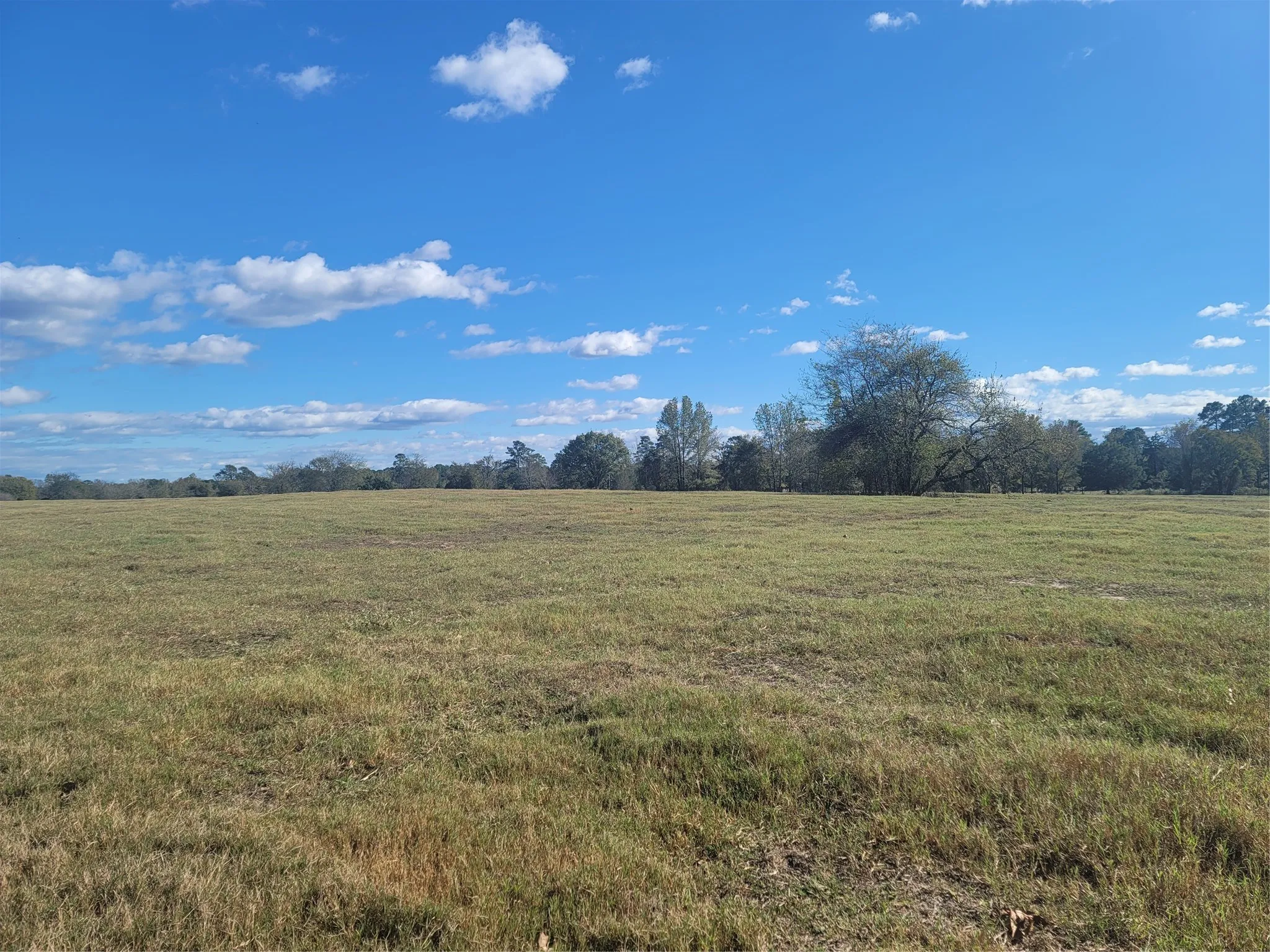 Ranch For Sale in Upshur County , 12403 FM 1975 Parcel E, Gilmer, Texas 75644, 0, 0, Garage spaces, 0 Sqft, built in 0, Price $121,800, mls#21034685, Real Estate Agent in Gilmer, Homes For Sale in Upshur county, Homes For Sale in Gilmer, Realtor in Gilmer Texas, Real Estate Brokerage Independent Realty Texas, Luminita Cordes Realtor