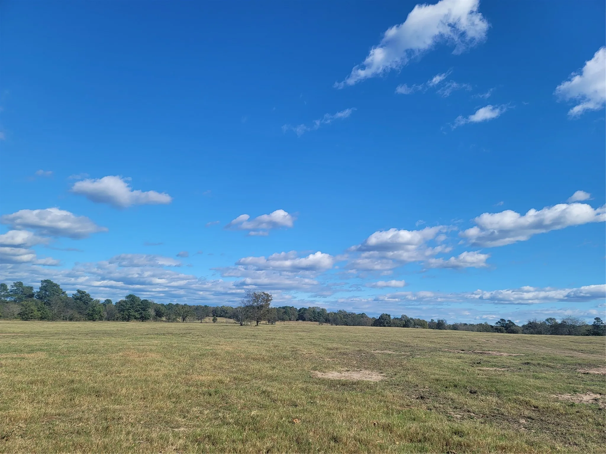 Ranch For Sale in Upshur County , 12403 FM 1975 Parcel F, Gilmer, Texas 75644, 0, 0, Garage spaces, 0 Sqft, built in 0, Price $200,000, mls#21034688, Real Estate Agent in Gilmer, Homes For Sale in Upshur county, Homes For Sale in Gilmer, Realtor in Gilmer Texas, Real Estate Brokerage Independent Realty Texas, Luminita Cordes Realtor