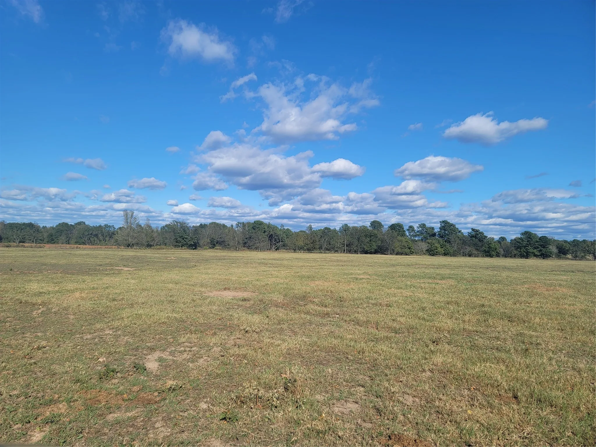 Ranch For Sale in Upshur County , 12403 FM 1975 Parcel H, Gilmer, Texas 75644, 0, 0, Garage spaces, 0 Sqft, built in 0, Price $206,000, mls#21034694, Real Estate Agent in Gilmer, Homes For Sale in Upshur county, Homes For Sale in Gilmer, Realtor in Gilmer Texas, Real Estate Brokerage Independent Realty Texas, Luminita Cordes Realtor