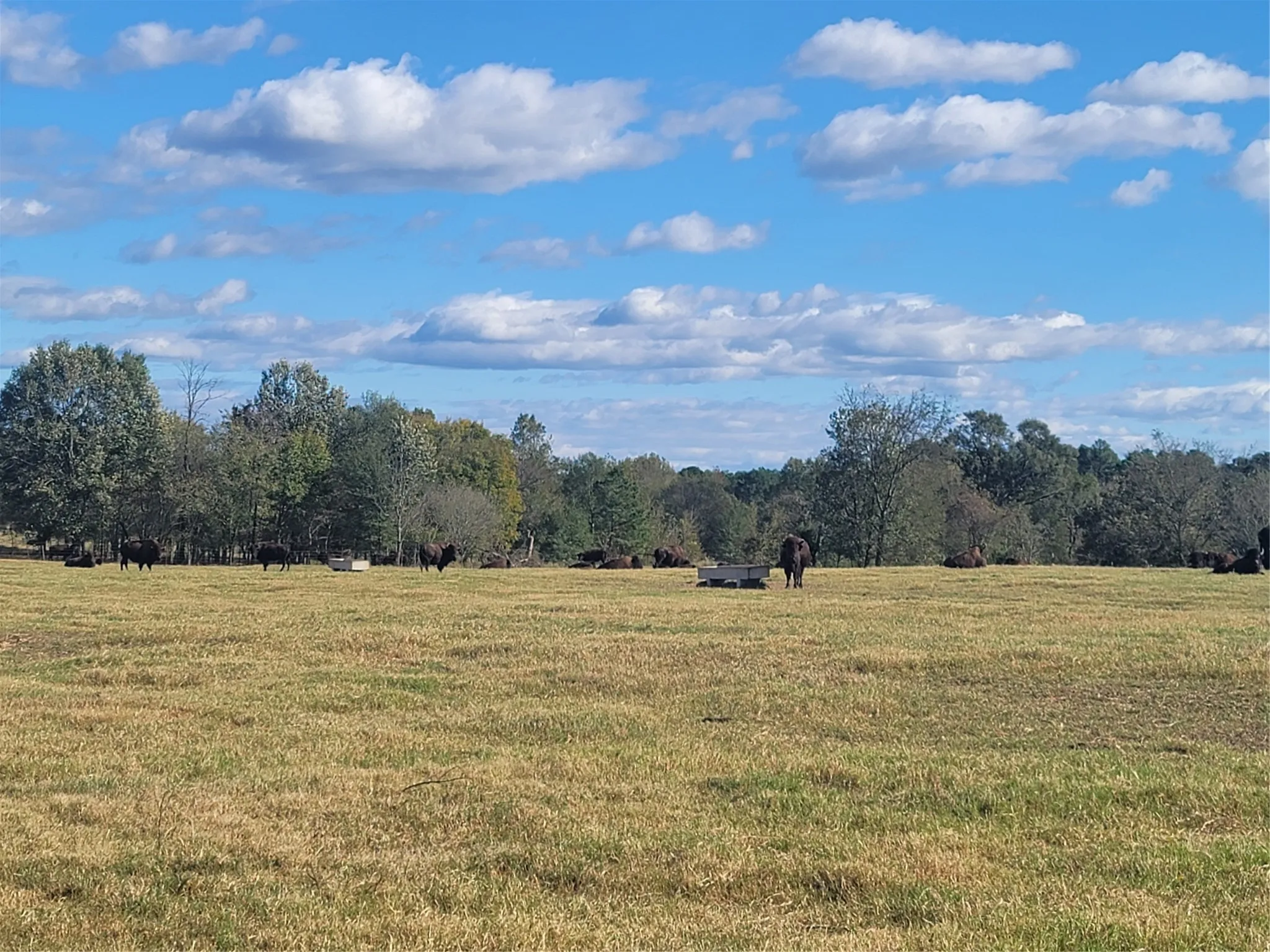 Ranch For Sale in Upshur County , 12403 FM 1975 Parcel H, Gilmer, Texas 75644, 0, 0, Garage spaces, 0 Sqft, built in 0, Price $206,000, mls#21034694, Real Estate Agent in Gilmer, Homes For Sale in Upshur county, Homes For Sale in Gilmer, Realtor in Gilmer Texas, Real Estate Brokerage Independent Realty Texas, Luminita Cordes Realtor