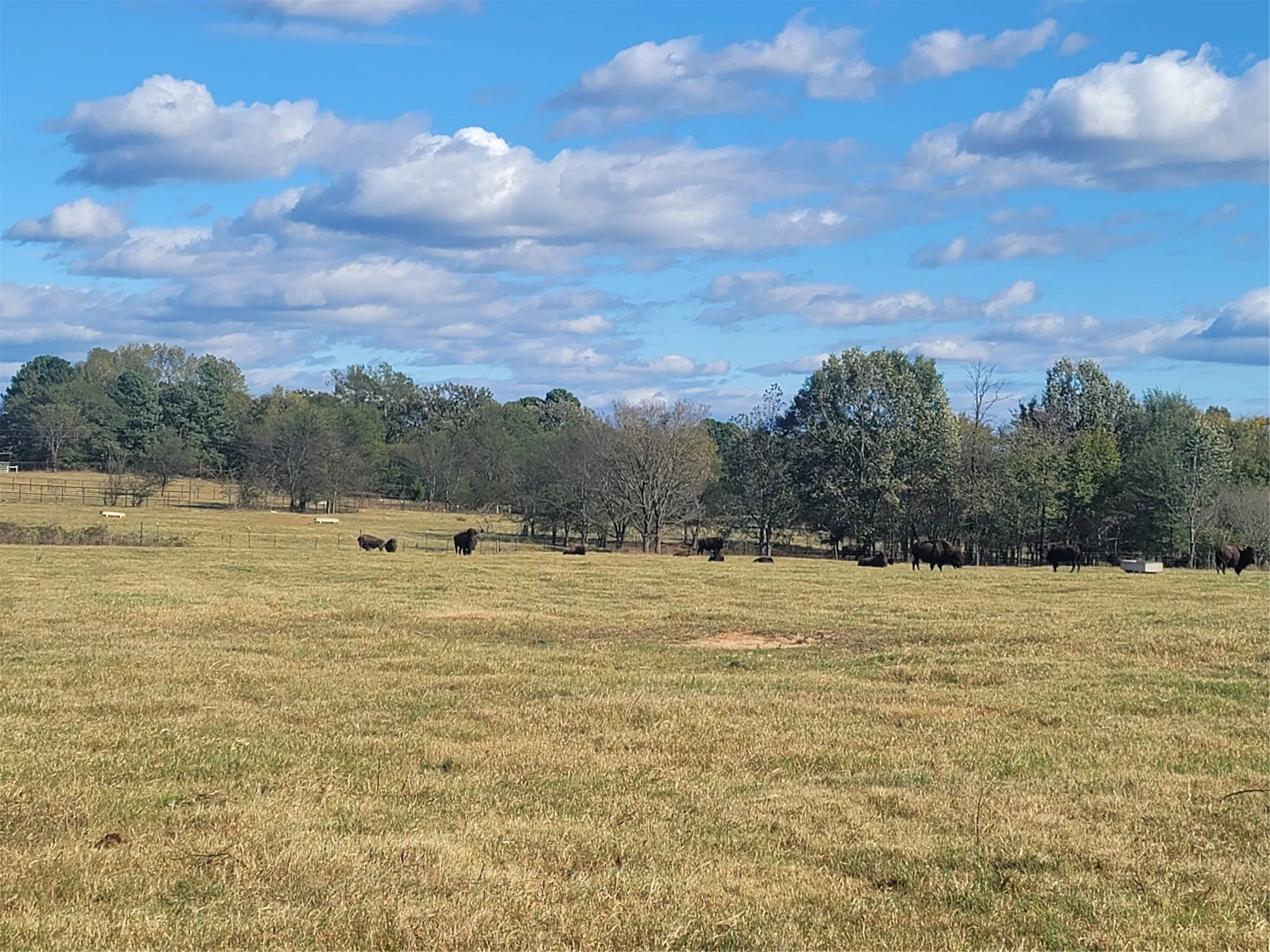 Ranch For Sale in Upshur County , 12403 FM 1975 Parcel J, Gilmer, Texas 75644, 0, 0, Garage spaces, 0 Sqft, built in 0, Price $340,000, mls#21034712, Real Estate Agent in Gilmer, Homes For Sale in Upshur county, Homes For Sale in Gilmer, Realtor in Gilmer Texas, Real Estate Brokerage Independent Realty Texas, Luminita Cordes Realtor