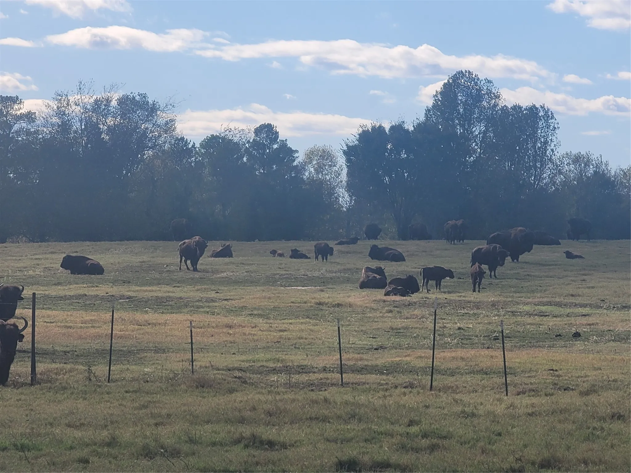 Ranch For Sale in Upshur County , 12403 FM 1975 Parcel J, Gilmer, Texas 75644, 0, 0, Garage spaces, 0 Sqft, built in 0, Price $340,000, mls#21034712, Real Estate Agent in Gilmer, Homes For Sale in Upshur county, Homes For Sale in Gilmer, Realtor in Gilmer Texas, Real Estate Brokerage Independent Realty Texas, Luminita Cordes Realtor