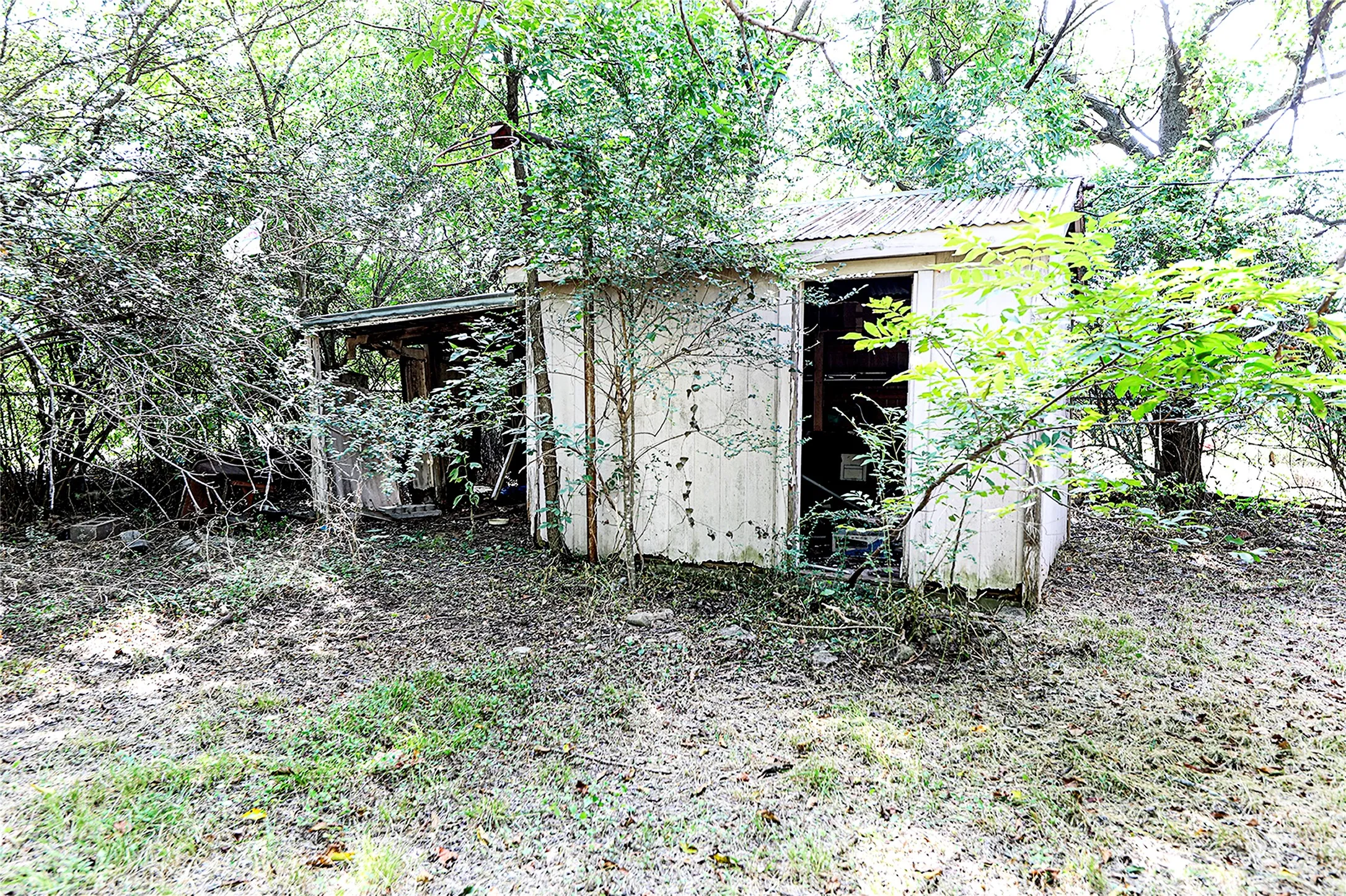View of shed