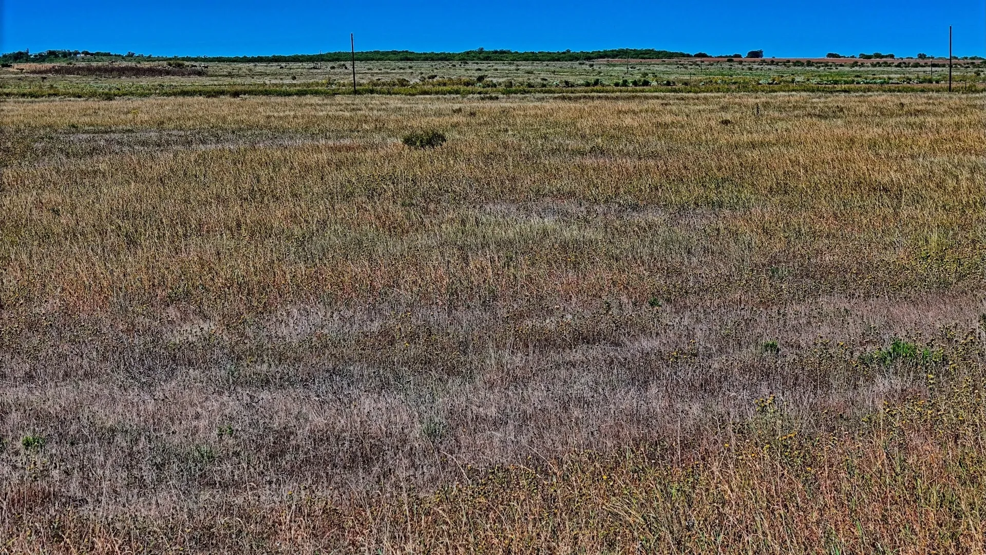 Ranch For Sale in Young County , TBD Dunn Road, Olney, Texas 76374, 0, 0, Garage spaces, 0 Sqft, built in 0, Price $339,430, mls#21035808, Real Estate Agent in Olney, Homes For Sale in Young county, Homes For Sale in Olney, Realtor in Olney Texas, Real Estate Brokerage Independent Realty Texas, Luminita Cordes Realtor