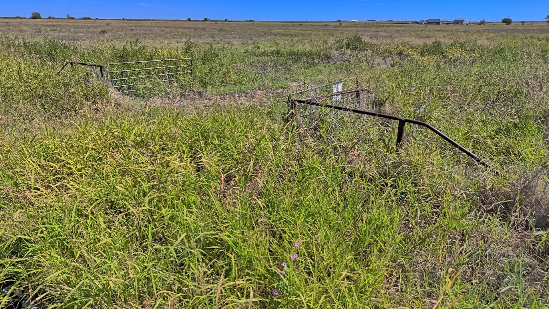 Ranch For Sale in Young County , TBD Dunn Road, Olney, Texas 76374, 0, 0, Garage spaces, 0 Sqft, built in 0, Price $339,430, mls#21035808, Real Estate Agent in Olney, Homes For Sale in Young county, Homes For Sale in Olney, Realtor in Olney Texas, Real Estate Brokerage Independent Realty Texas, Luminita Cordes Realtor