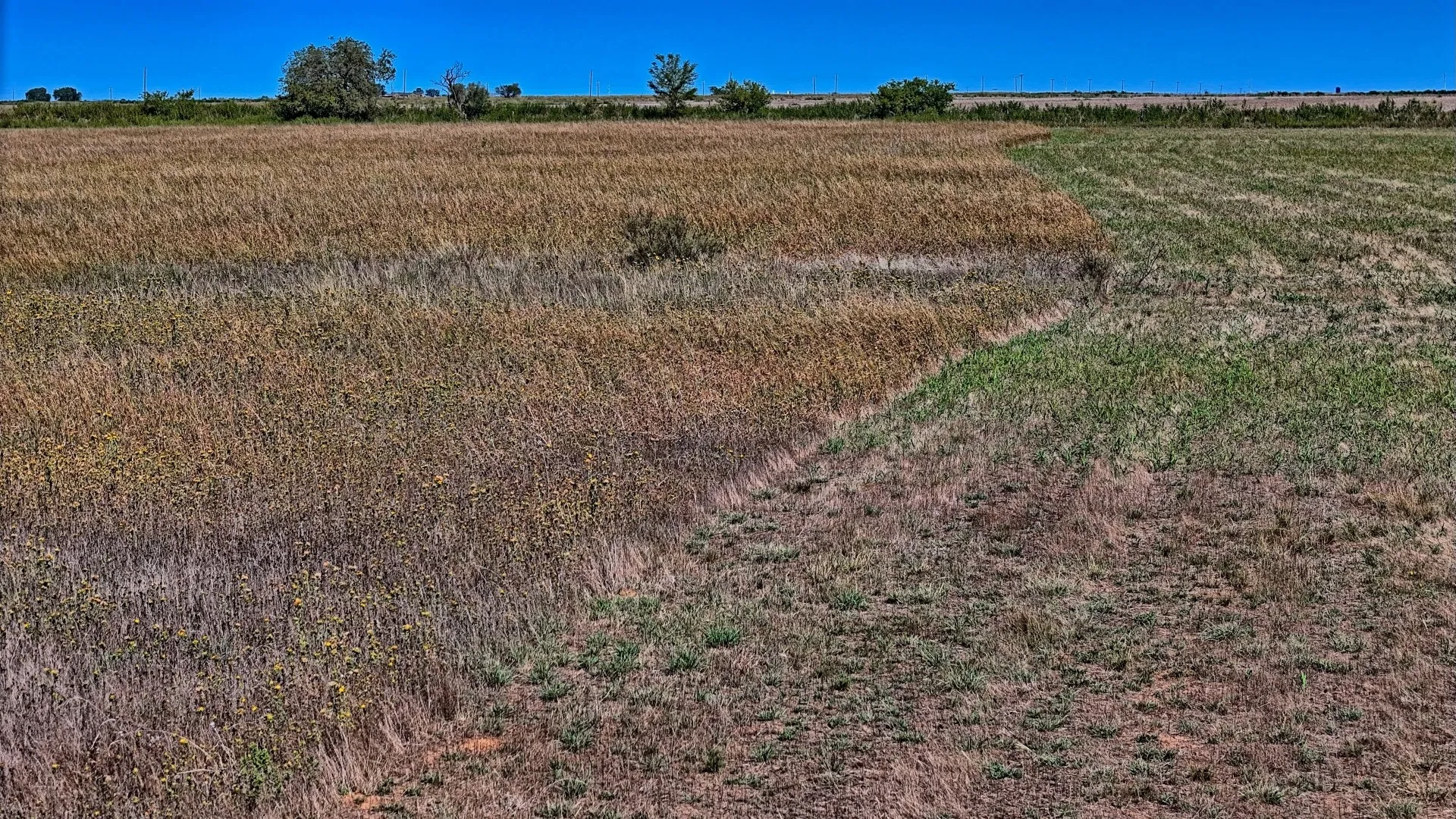 Ranch For Sale in Young County , TBD Dunn Road, Olney, Texas 76374, 0, 0, Garage spaces, 0 Sqft, built in 0, Price $339,430, mls#21035808, Real Estate Agent in Olney, Homes For Sale in Young county, Homes For Sale in Olney, Realtor in Olney Texas, Real Estate Brokerage Independent Realty Texas, Luminita Cordes Realtor