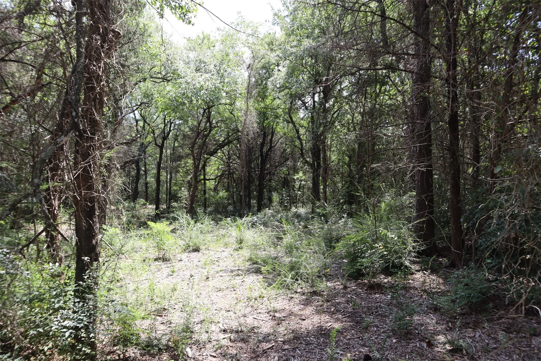 Unimproved Land For Sale in Grayson County , TBD 3rd Street, Pottsboro, Texas 75076, 0, 0, Garage spaces, 0 Sqft, built in 0, Price $1,195,000, mls#21036458, Real Estate Agent in Pottsboro, Homes For Sale in Grayson county, Homes For Sale in Pottsboro, Realtor in Pottsboro Texas, Real Estate Brokerage Independent Realty Texas, Luminita Cordes Realtor