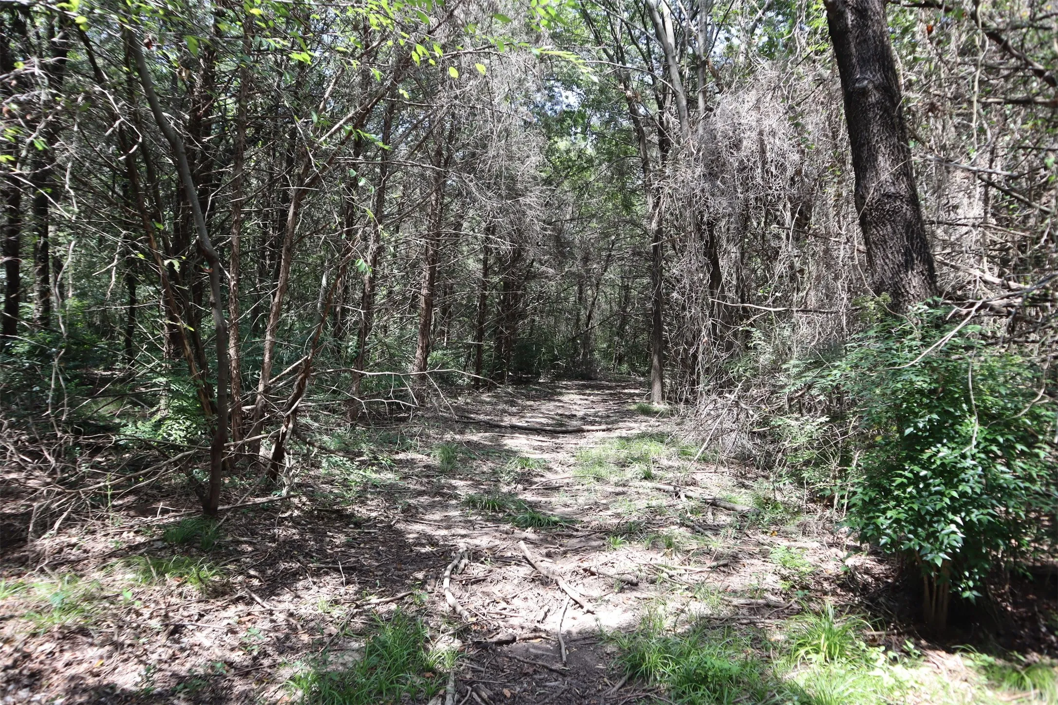 Unimproved Land For Sale in Grayson County , TBD 3rd Street, Pottsboro, Texas 75076, 0, 0, Garage spaces, 0 Sqft, built in 0, Price $1,195,000, mls#21036458, Real Estate Agent in Pottsboro, Homes For Sale in Grayson county, Homes For Sale in Pottsboro, Realtor in Pottsboro Texas, Real Estate Brokerage Independent Realty Texas, Luminita Cordes Realtor