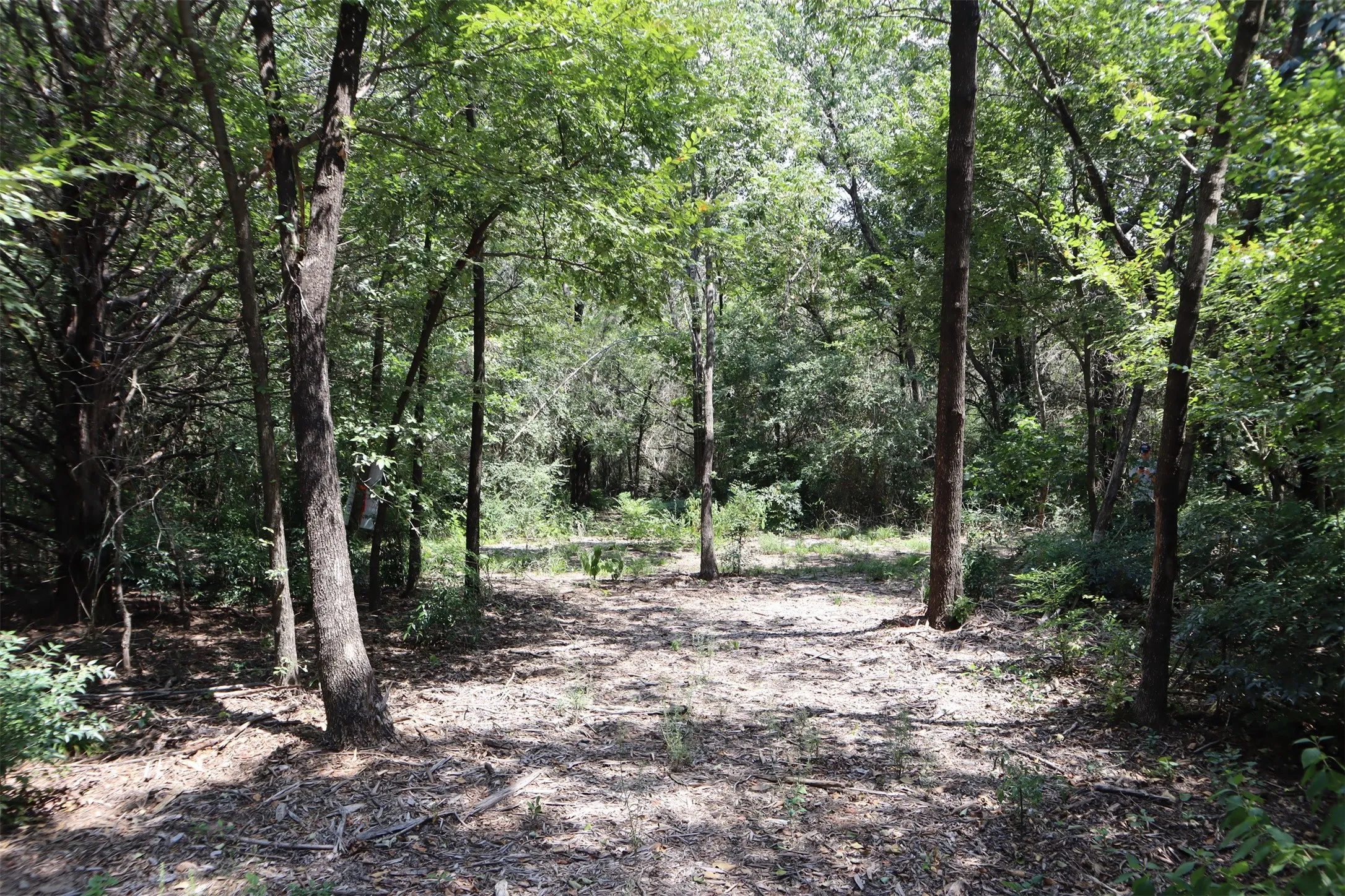 Unimproved Land For Sale in Grayson County , TBD 3rd Street, Pottsboro, Texas 75076, 0, 0, Garage spaces, 0 Sqft, built in 0, Price $1,195,000, mls#21036458, Real Estate Agent in Pottsboro, Homes For Sale in Grayson county, Homes For Sale in Pottsboro, Realtor in Pottsboro Texas, Real Estate Brokerage Independent Realty Texas, Luminita Cordes Realtor