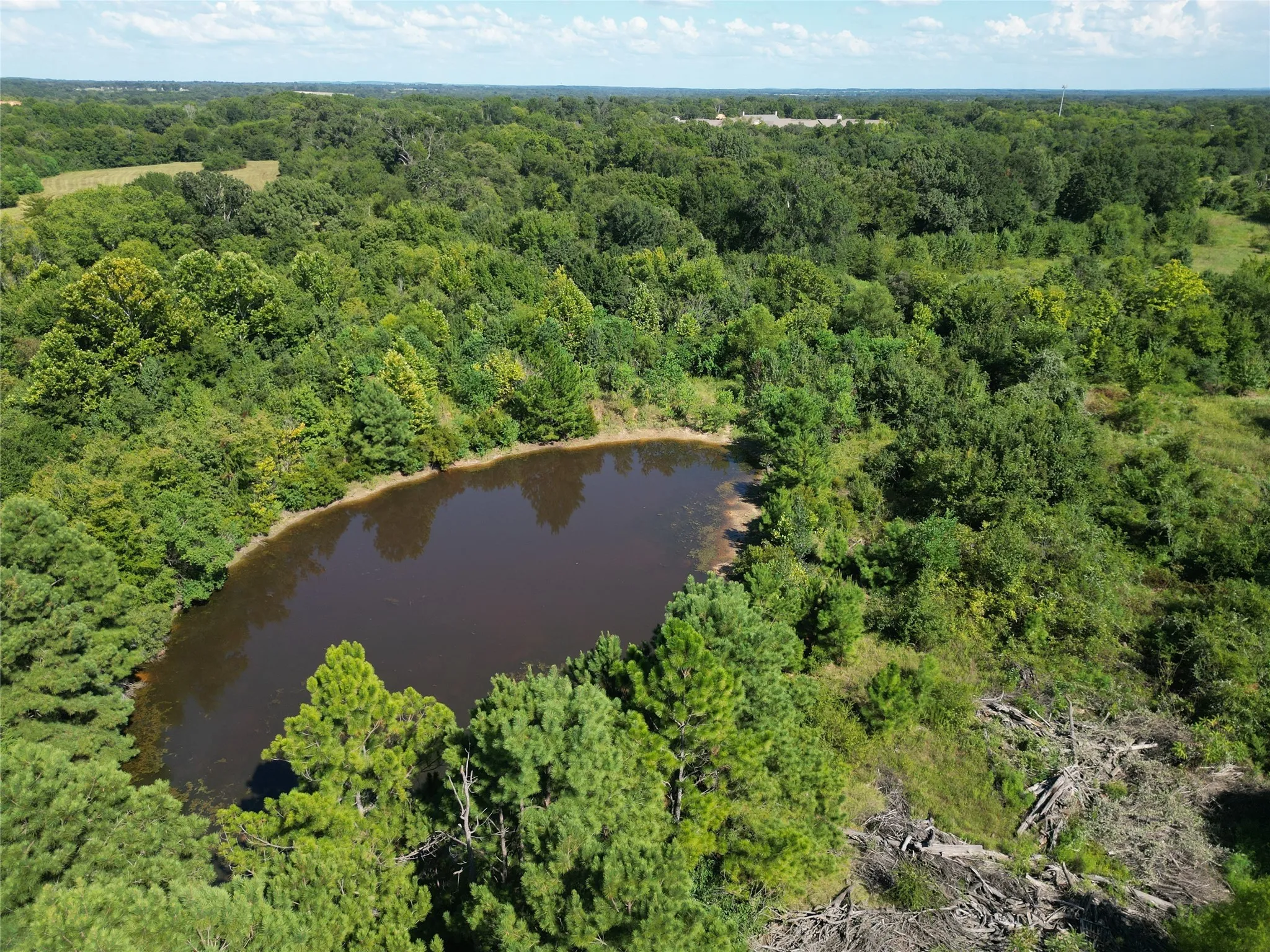 Unimproved Land For Sale in Henderson County , Lot 14 Central Park Court, Athens, Texas 75751, 0, 0, Garage spaces, 0 Sqft, built in 0, mls#21037162, Real Estate Agent in Athens, Homes For Sale in Henderson county, Homes For Sale in Athens, Realtor in Athens Texas, Real Estate Brokerage Independent Realty Texas, Luminita Cordes Realtor