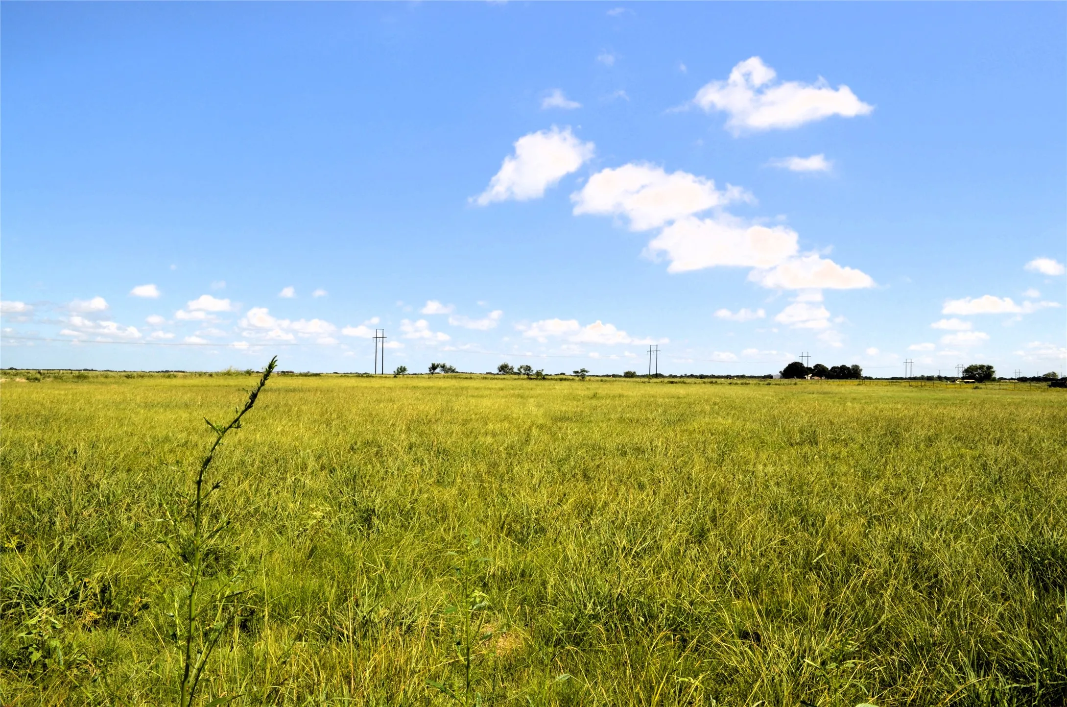 Unimproved Land For Sale in Kaufman County , 00 Tarlton Road, Mabank, Texas 75147, 0, 0, Garage spaces, 0 Sqft, built in 0, mls#21037554, Real Estate Agent in Mabank, Homes For Sale in Kaufman county, Homes For Sale in Mabank, Realtor in Mabank Texas, Real Estate Brokerage Independent Realty Texas, Luminita Cordes Realtor