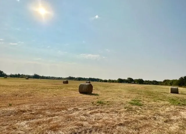 View of yard with a view of countryside