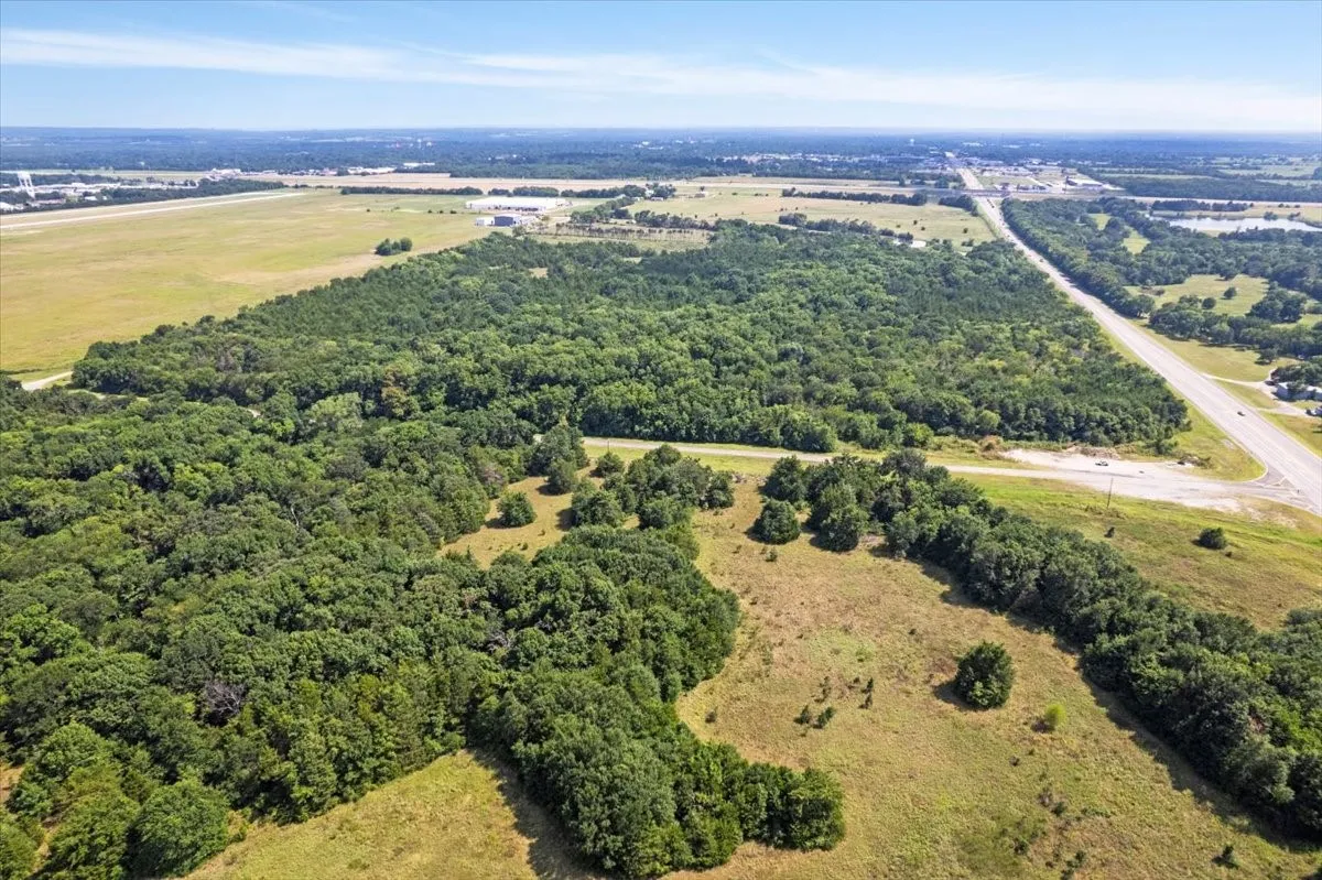 Bird's eye view of a forest