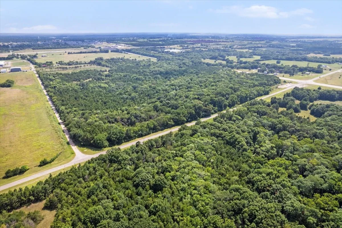 Drone / aerial view of a forest