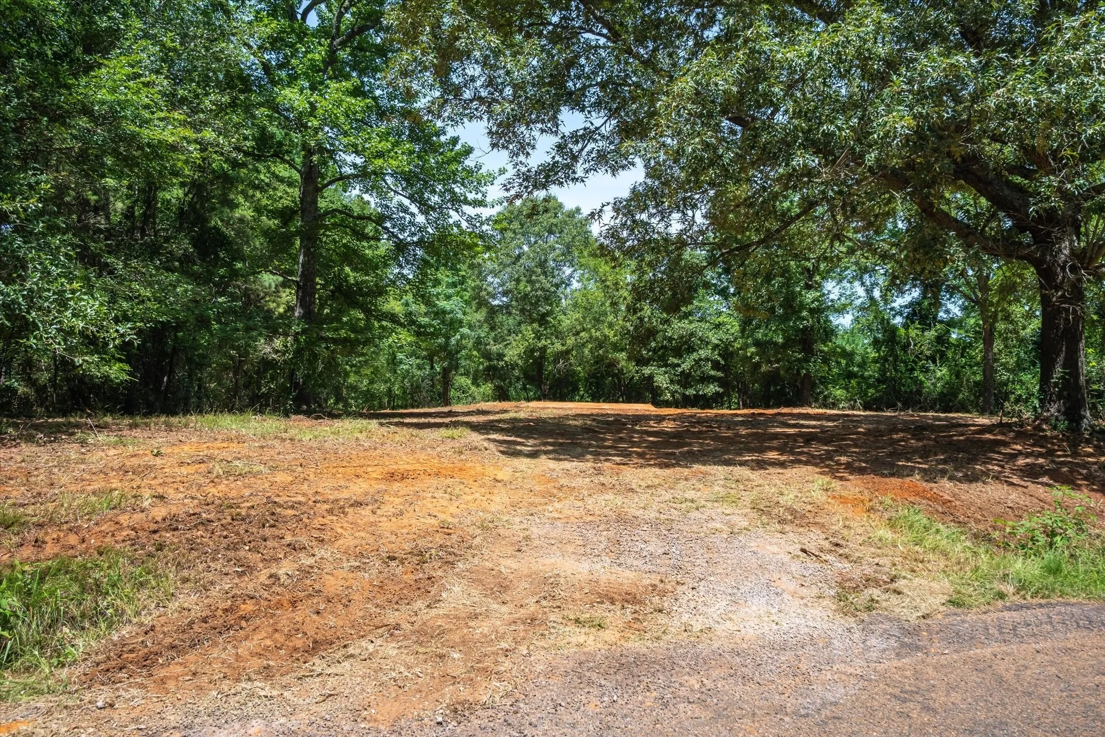 Unimproved Land For Sale in Cherokee County , 1249 County Road 4102, Jacksonville, Texas 75766, 0, 0, Garage spaces, 0 Sqft, built in 0, Price $375,000, mls#21035988, Real Estate Agent in Jacksonville, Homes For Sale in Cherokee county, Homes For Sale in Jacksonville, Realtor in Jacksonville Texas, Real Estate Brokerage Independent Realty Texas, Luminita Cordes Realtor