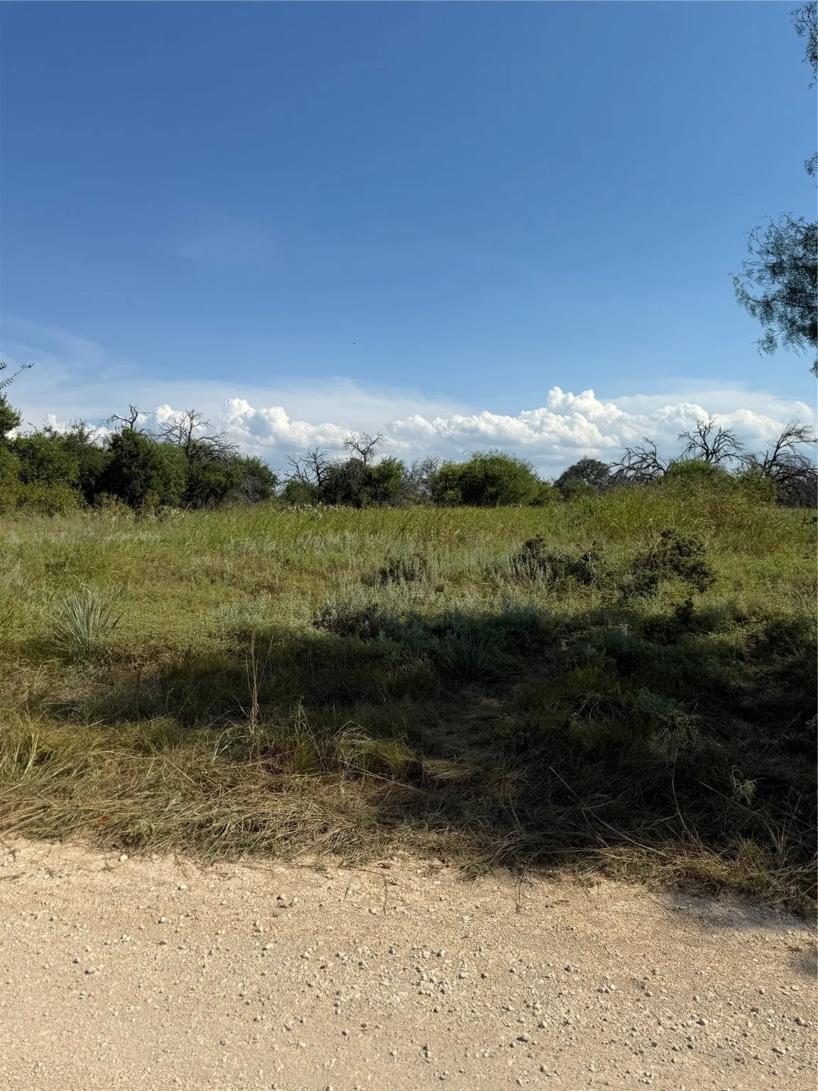 Unimproved Land For Sale in Comanche County , TBD Cr 187, Comanche, Texas 76442, 0, 0, Garage spaces, 0 Sqft, built in 0, mls#21035429, Real Estate Agent in Comanche, Homes For Sale in Comanche county, Homes For Sale in Comanche, Realtor in Comanche Texas, Real Estate Brokerage Independent Realty Texas, Luminita Cordes Realtor