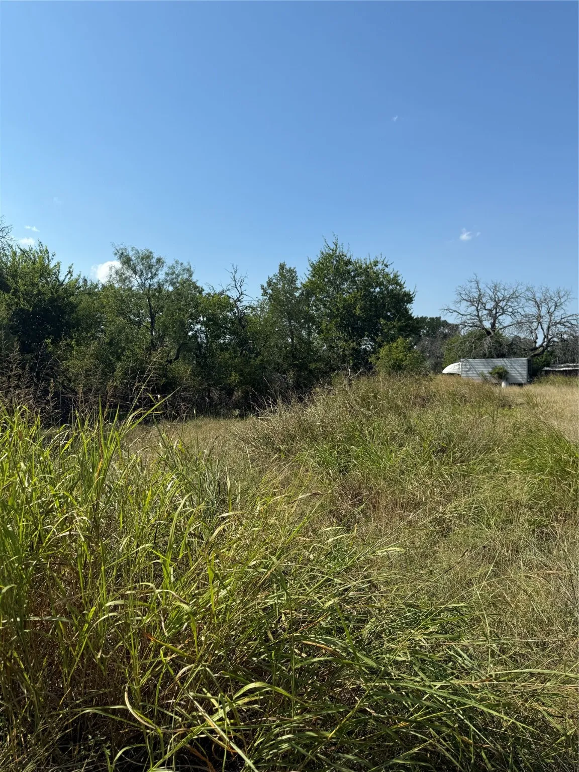 Unimproved Land For Sale in Comanche County , TBD Cr 187, Comanche, Texas 76442, 0, 0, Garage spaces, 0 Sqft, built in 0, mls#21035429, Real Estate Agent in Comanche, Homes For Sale in Comanche county, Homes For Sale in Comanche, Realtor in Comanche Texas, Real Estate Brokerage Independent Realty Texas, Luminita Cordes Realtor