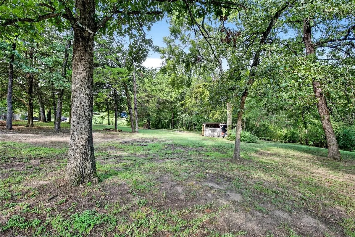 View of grassy yard with a storage unit