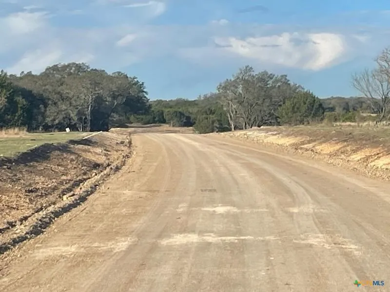 View of dirt / gravel road with a forest view