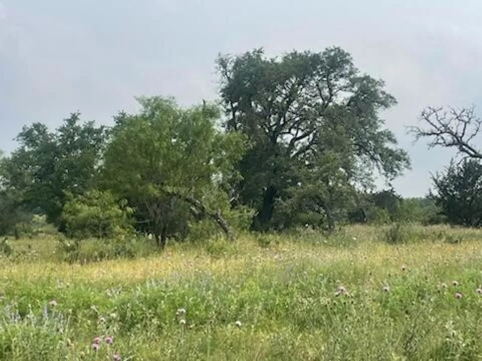 View of undeveloped land