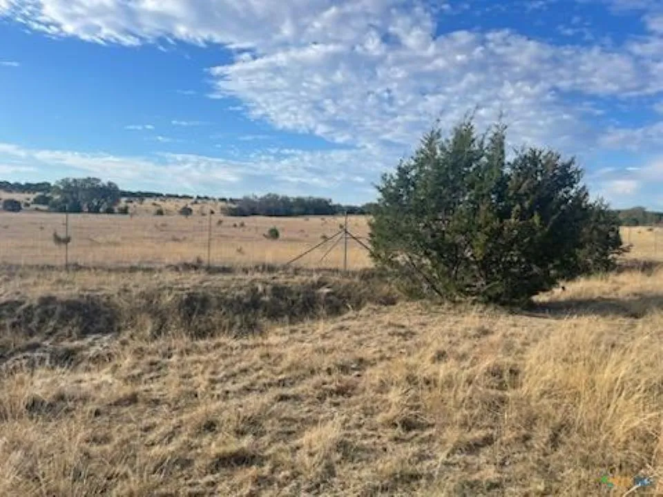 View of yard with a view of rural / pastoral area