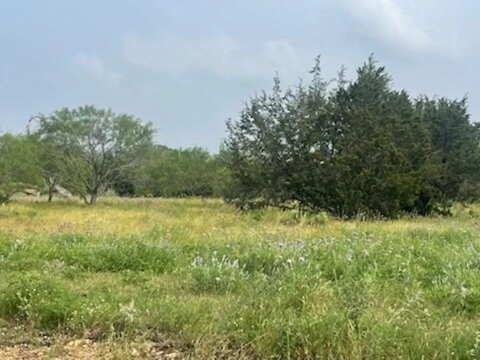 Unimproved Land For Sale in Burnet County , Lot 175 Heartleaf Drive, Lampasas, Texas 76550, 0, 0, Garage spaces, 0 Sqft, built in 0, mls#21039785, Real Estate Agent in Lampasas, Homes For Sale in Burnet county, Homes For Sale in Lampasas, Realtor in Lampasas Texas, Real Estate Brokerage Independent Realty Texas, Luminita Cordes Realtor