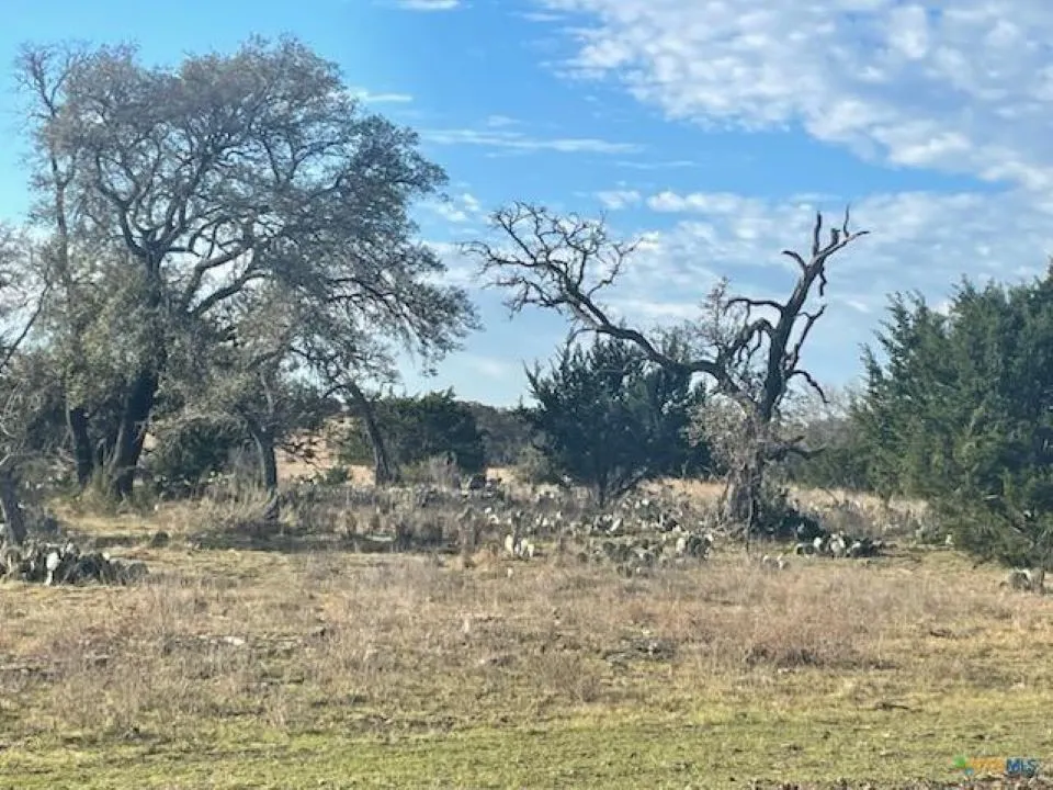 View of nature