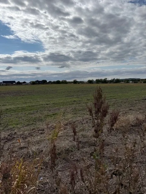 Unimproved Land For Sale in Taylor County , TBD FM 1750 Road, Abilene, Texas 79602, 0, 0, Garage spaces, 0 Sqft, built in 0, mls#20921477, Real Estate Agent in Abilene, Homes For Sale in Taylor county, Homes For Sale in Abilene, Realtor in Abilene Texas, Real Estate Brokerage Independent Realty Texas, Luminita Cordes Realtor