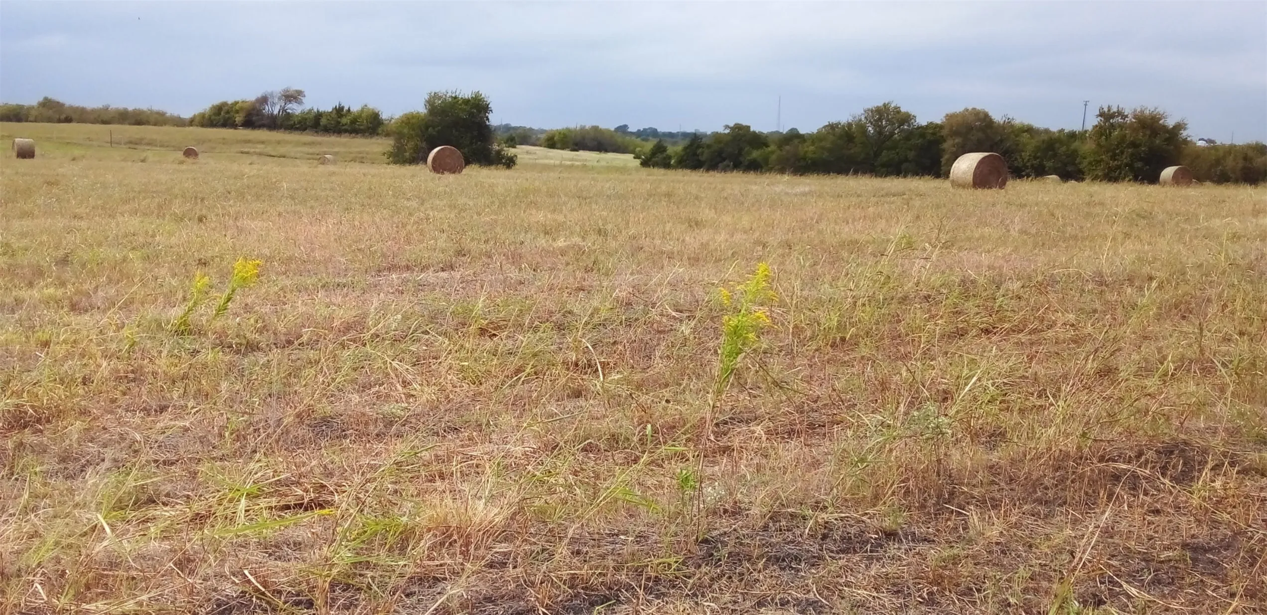 Country Canvas to Cultivate Community Connections
