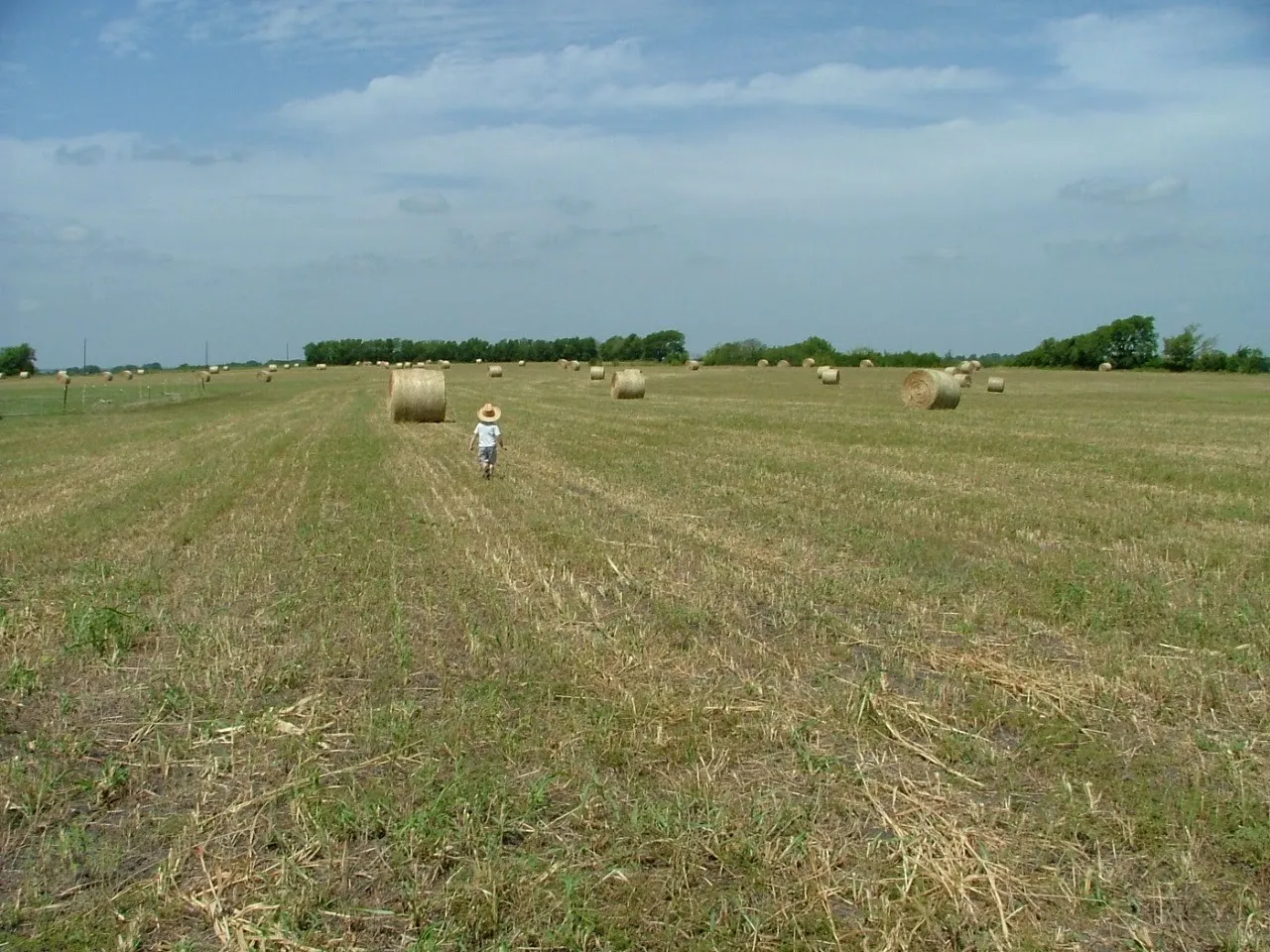 Fields, Hay Bales & Kids - What a beautiful setting!