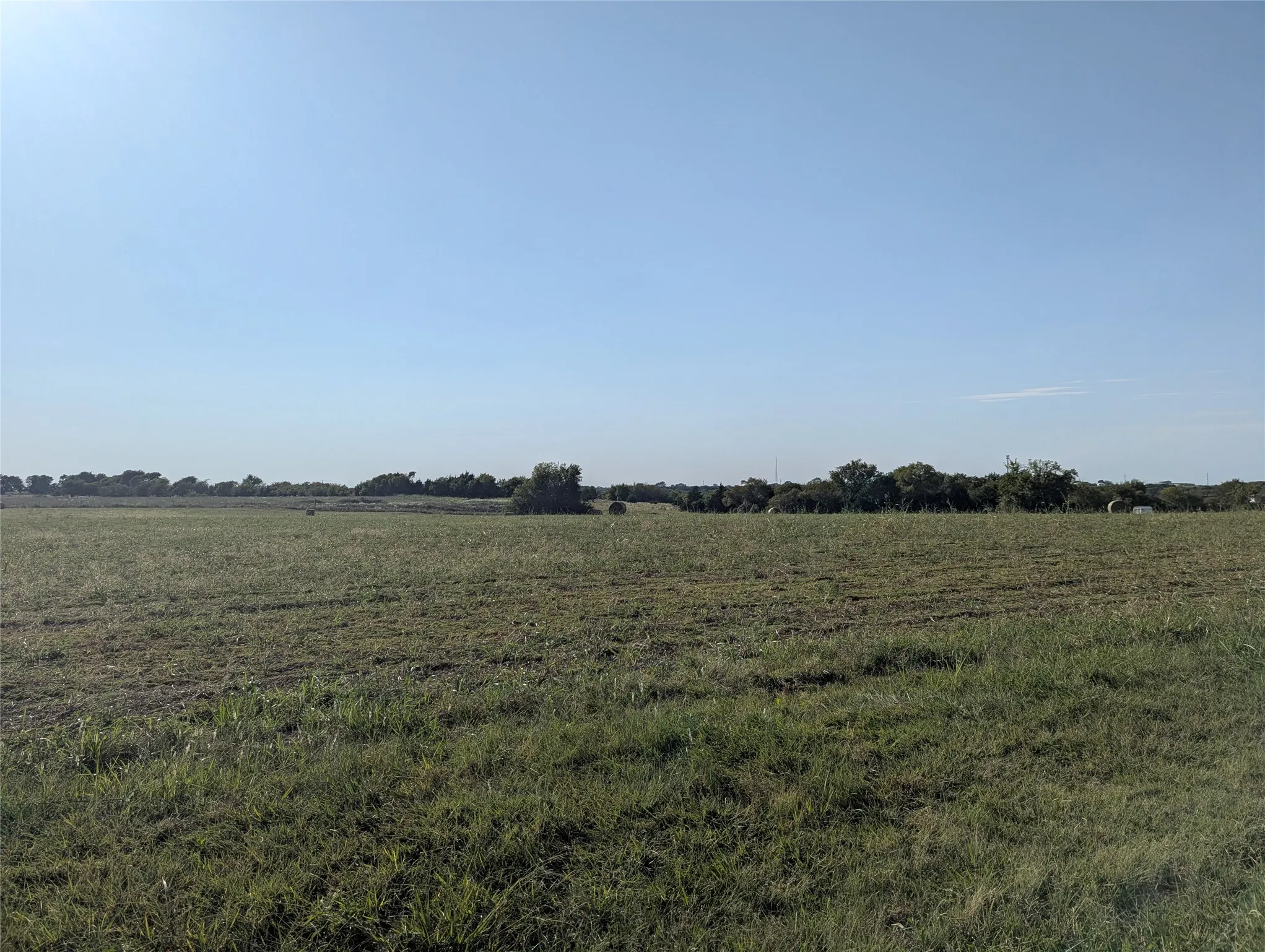 Freshly mowed & baled photo 09.10.2025