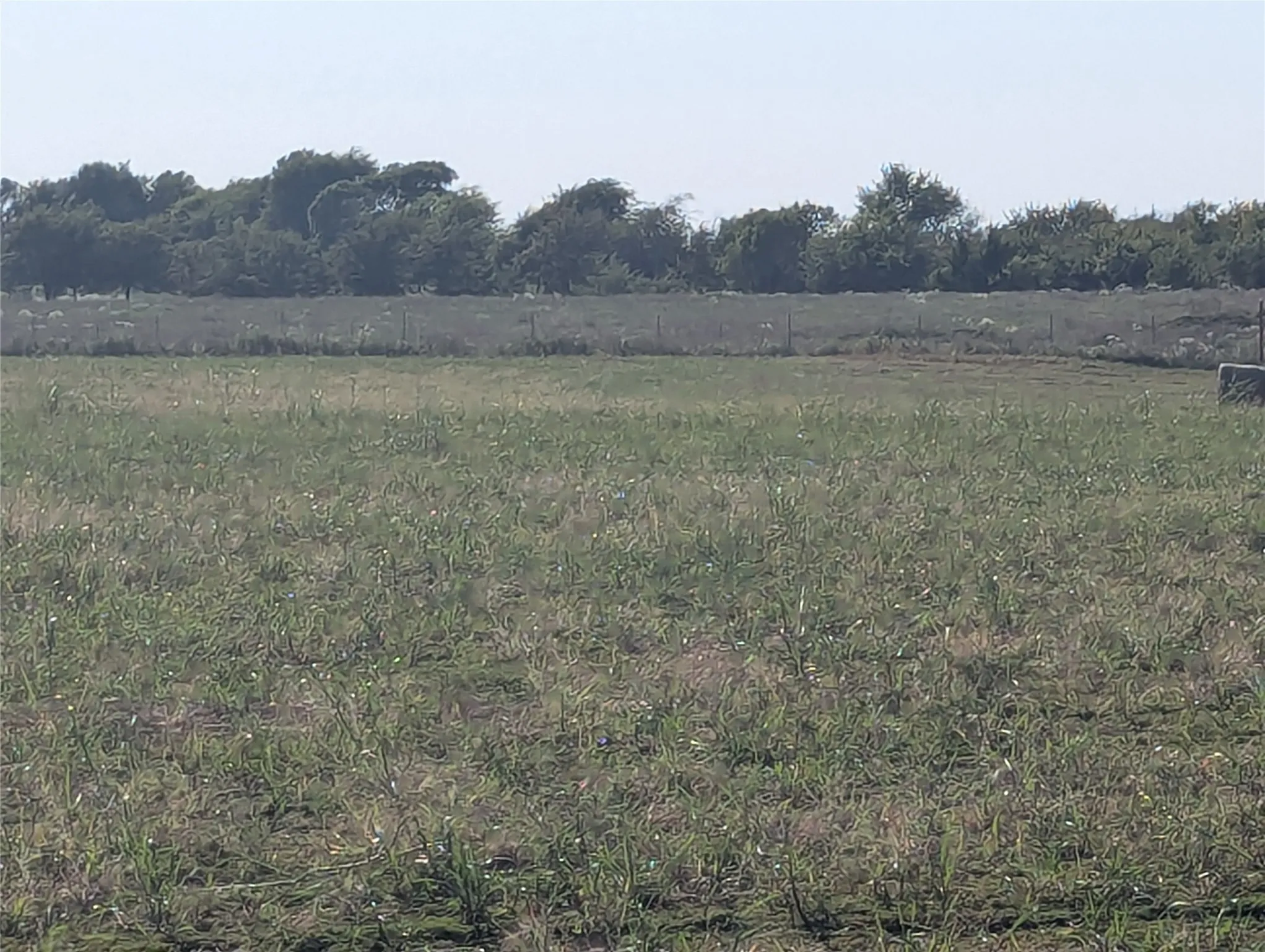 Big Round Hay Bales as shown on 09.10.2025