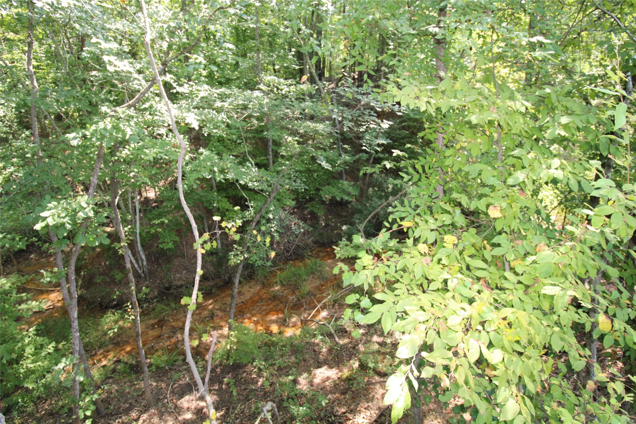 Improved Land For Sale in Cherokee County , 6935 U.S. Highway 175 W, Jacksonville, Texas 75766, 0, 0, Garage spaces, 0 Sqft, built in 0, mls#21040383, Real Estate Agent in Jacksonville, Homes For Sale in Cherokee county, Homes For Sale in Jacksonville, Realtor in Jacksonville Texas, Real Estate Brokerage Independent Realty Texas, Luminita Cordes Realtor