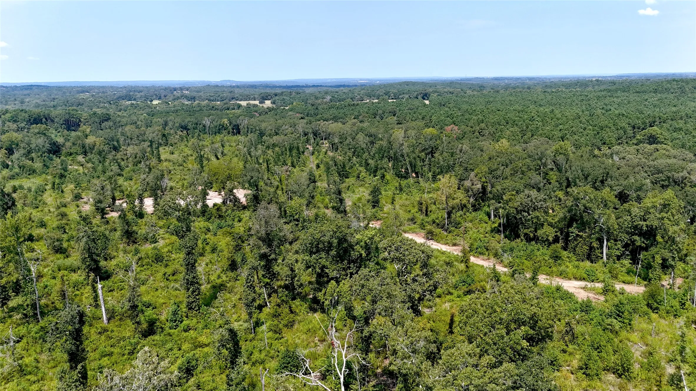 Improved Land For Sale in Cherokee County , 6935 U.S. Highway 175 W, Jacksonville, Texas 75766, 0, 0, Garage spaces, 0 Sqft, built in 0, mls#21040383, Real Estate Agent in Jacksonville, Homes For Sale in Cherokee county, Homes For Sale in Jacksonville, Realtor in Jacksonville Texas, Real Estate Brokerage Independent Realty Texas, Luminita Cordes Realtor