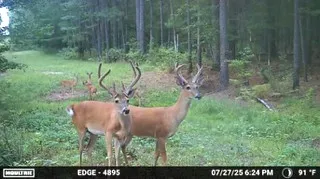 Improved Land For Sale in Cherokee County , 6935 U.S. Highway 175 W, Jacksonville, Texas 75766, 0, 0, Garage spaces, 0 Sqft, built in 0, mls#21040383, Real Estate Agent in Jacksonville, Homes For Sale in Cherokee county, Homes For Sale in Jacksonville, Realtor in Jacksonville Texas, Real Estate Brokerage Independent Realty Texas, Luminita Cordes Realtor