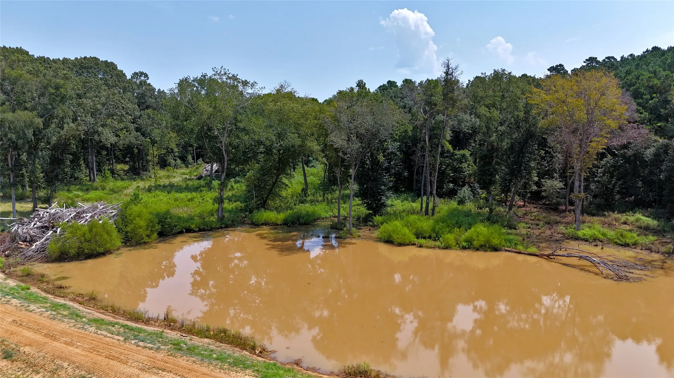 Improved Land For Sale in Cherokee County , 6935 U.S. Highway 175 W, Jacksonville, Texas 75766, 0, 0, Garage spaces, 0 Sqft, built in 0, mls#21040383, Real Estate Agent in Jacksonville, Homes For Sale in Cherokee county, Homes For Sale in Jacksonville, Realtor in Jacksonville Texas, Real Estate Brokerage Independent Realty Texas, Luminita Cordes Realtor