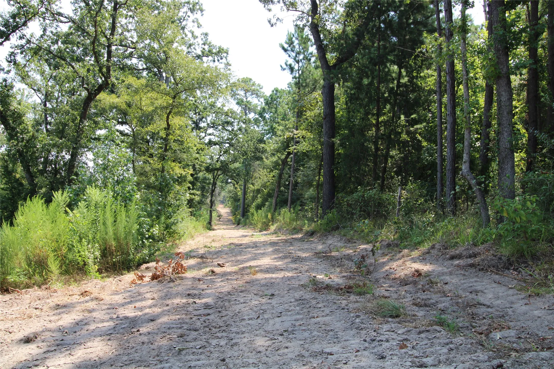 Improved Land For Sale in Cherokee County , 6935 U.S. Highway 175 W, Jacksonville, Texas 75766, 0, 0, Garage spaces, 0 Sqft, built in 0, mls#21040383, Real Estate Agent in Jacksonville, Homes For Sale in Cherokee county, Homes For Sale in Jacksonville, Realtor in Jacksonville Texas, Real Estate Brokerage Independent Realty Texas, Luminita Cordes Realtor